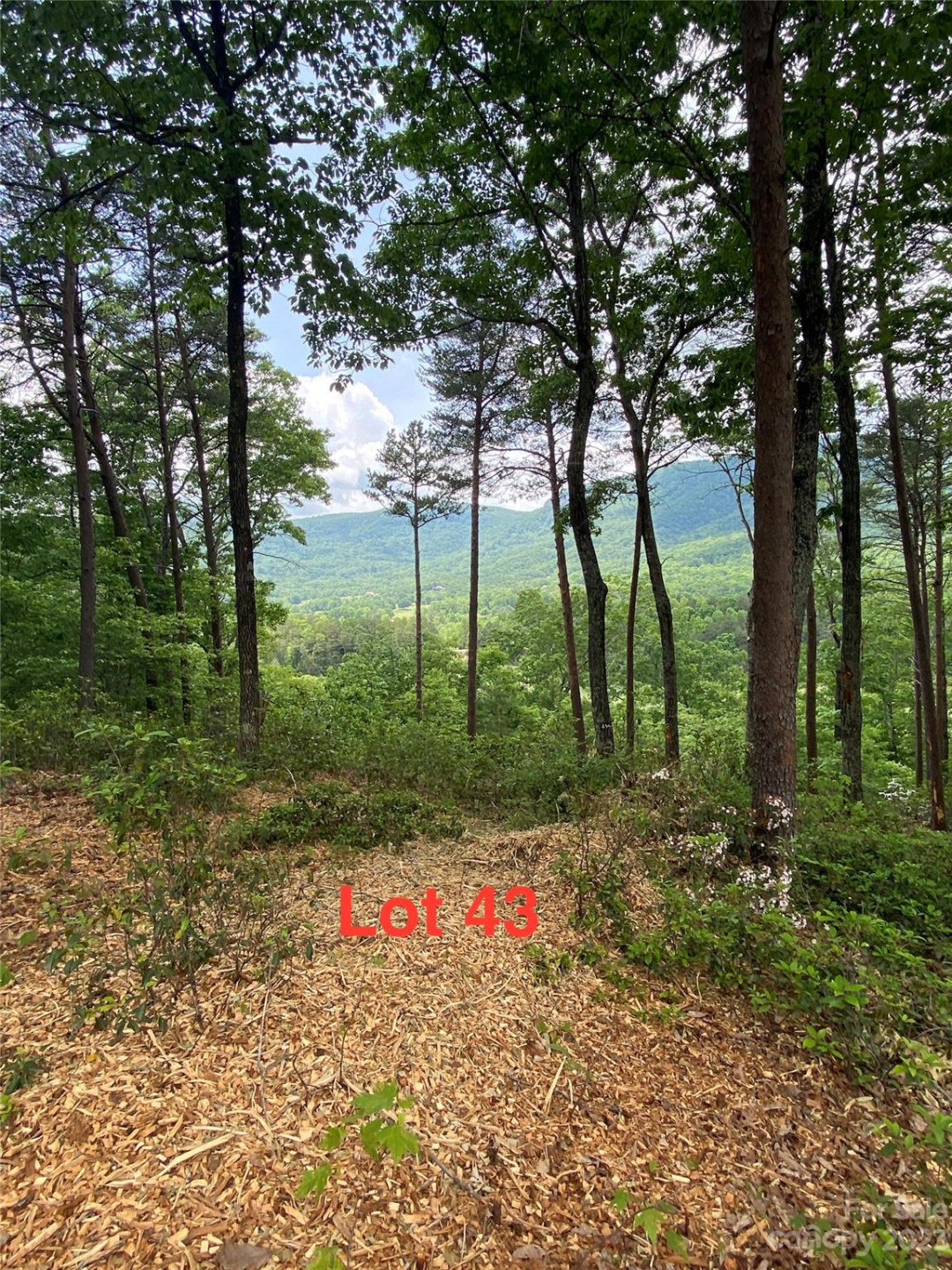 LOT 43 Deep Gap Farm Road
