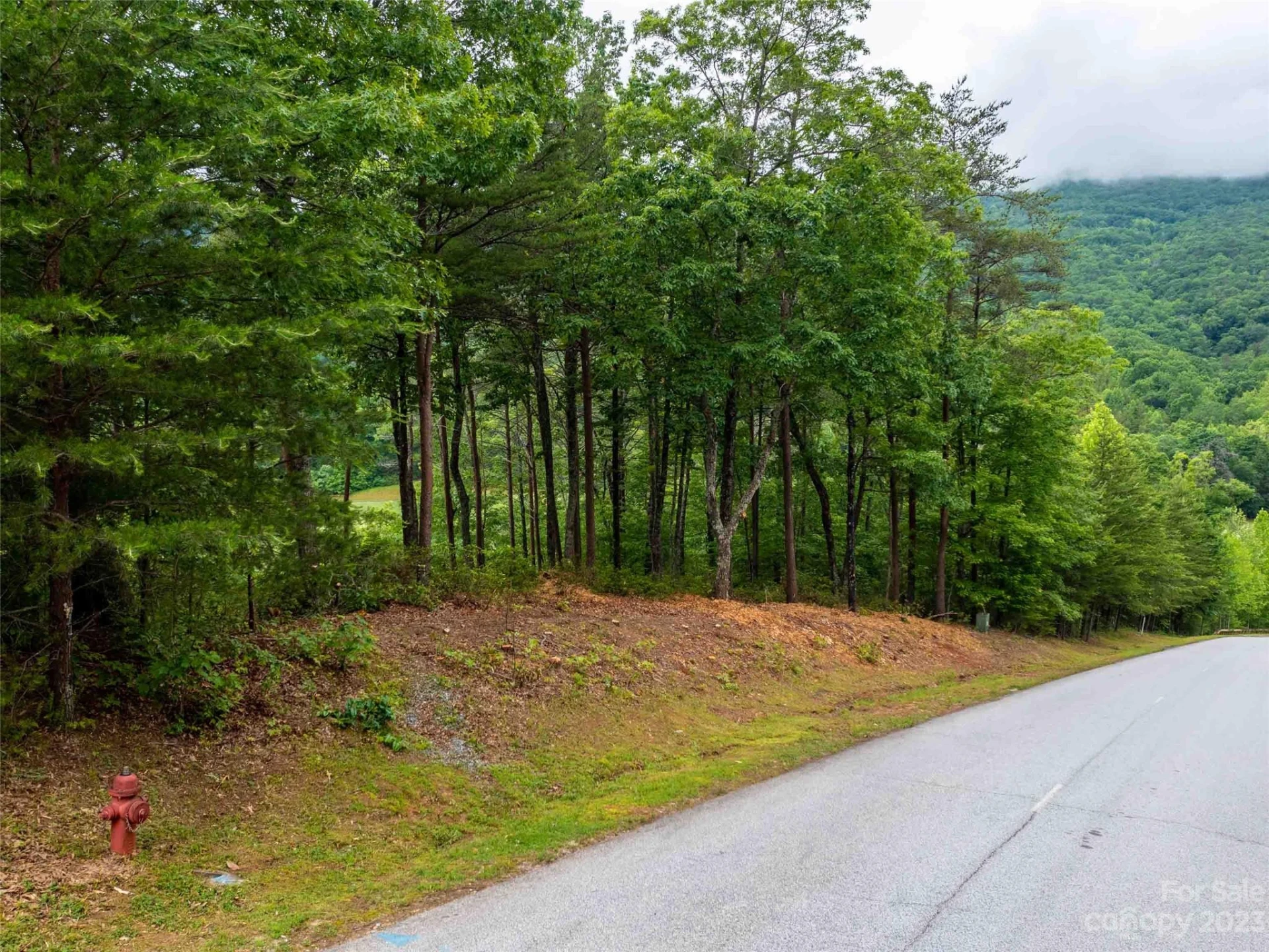 LOT 43 Deep Gap Farm Road - Photo 3
