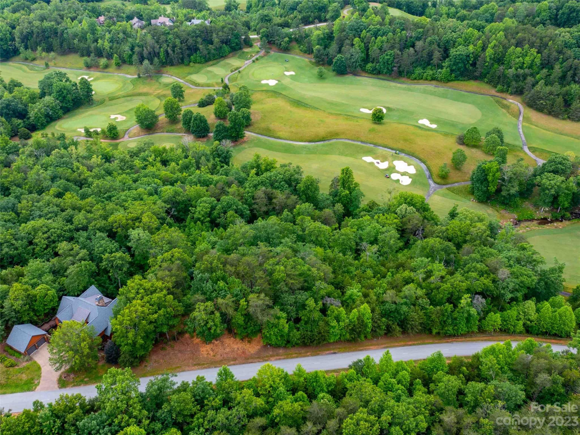 LOT 43 Deep Gap Farm Road - Photo 4