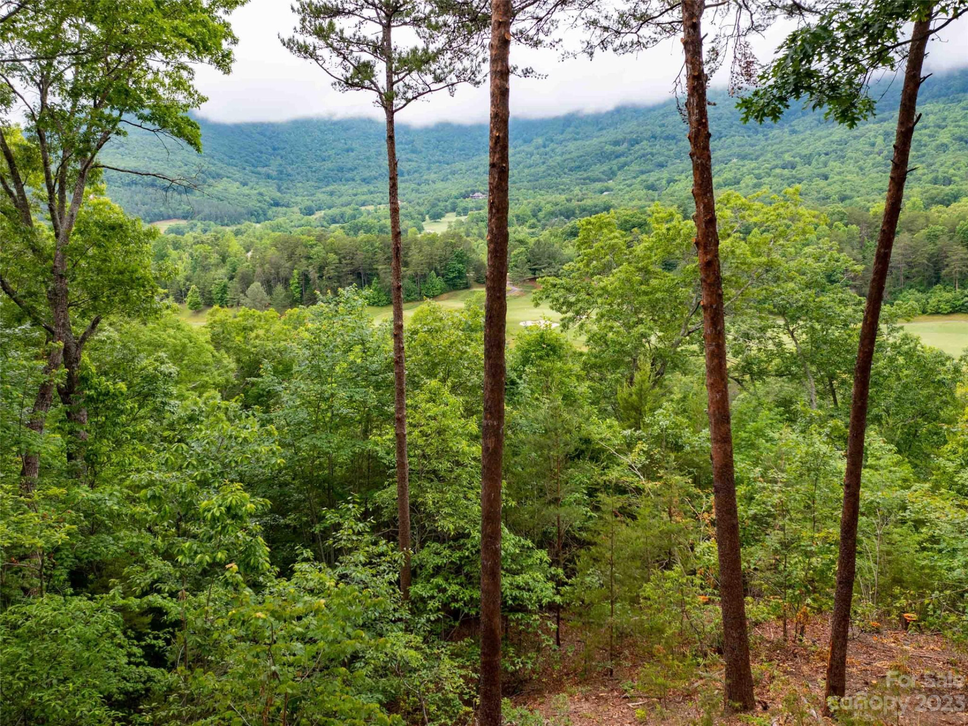 LOT 43 Deep Gap Farm Road - Photo 5