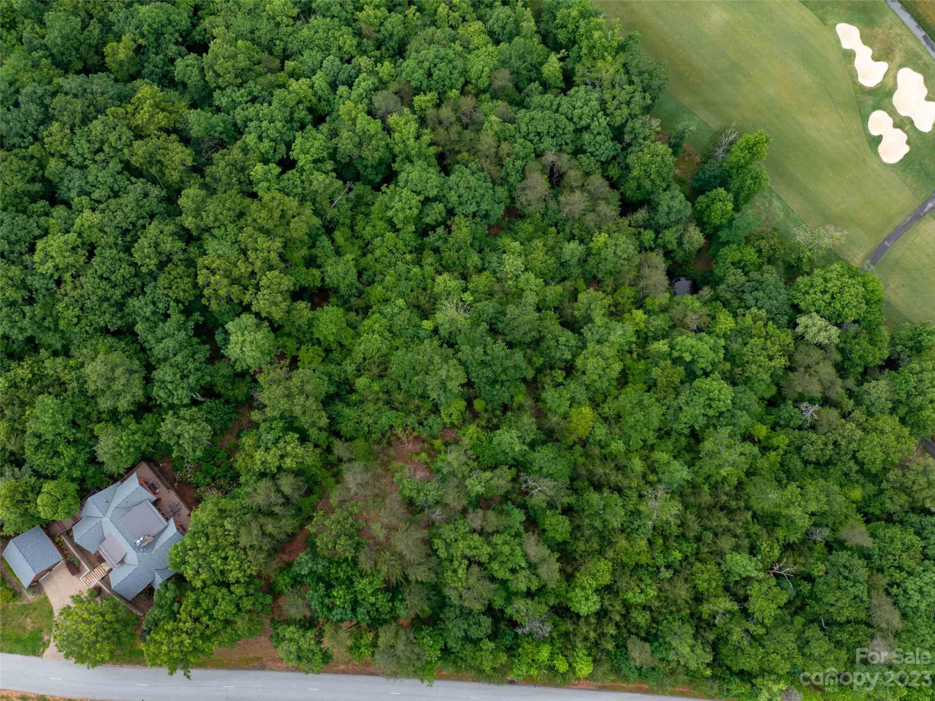 LOT 43 Deep Gap Farm Road - Photo 7