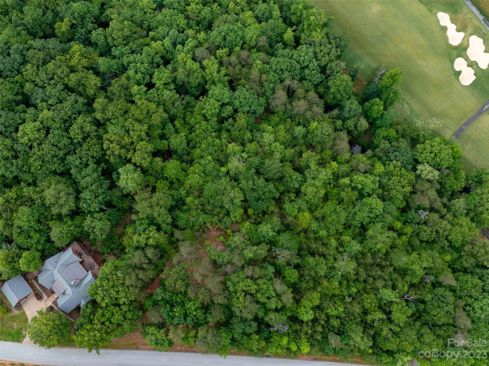 LOT 43 Deep Gap Farm Road - Photo 7