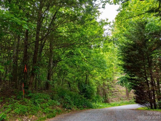 LOT A Deerwood Lane, Laurel Park, NC, 28739