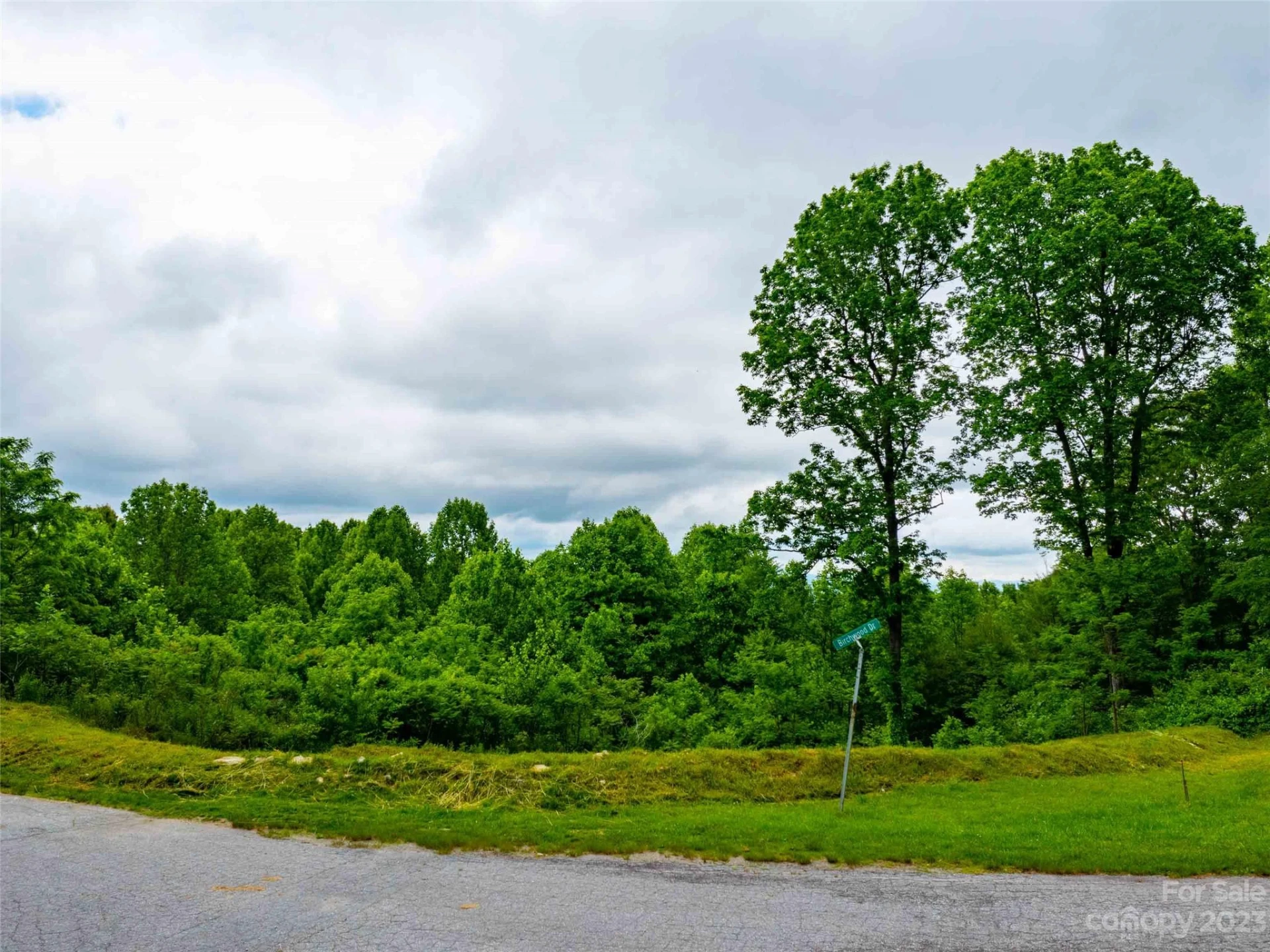 LOT A Deerwood Lane - Photo 2