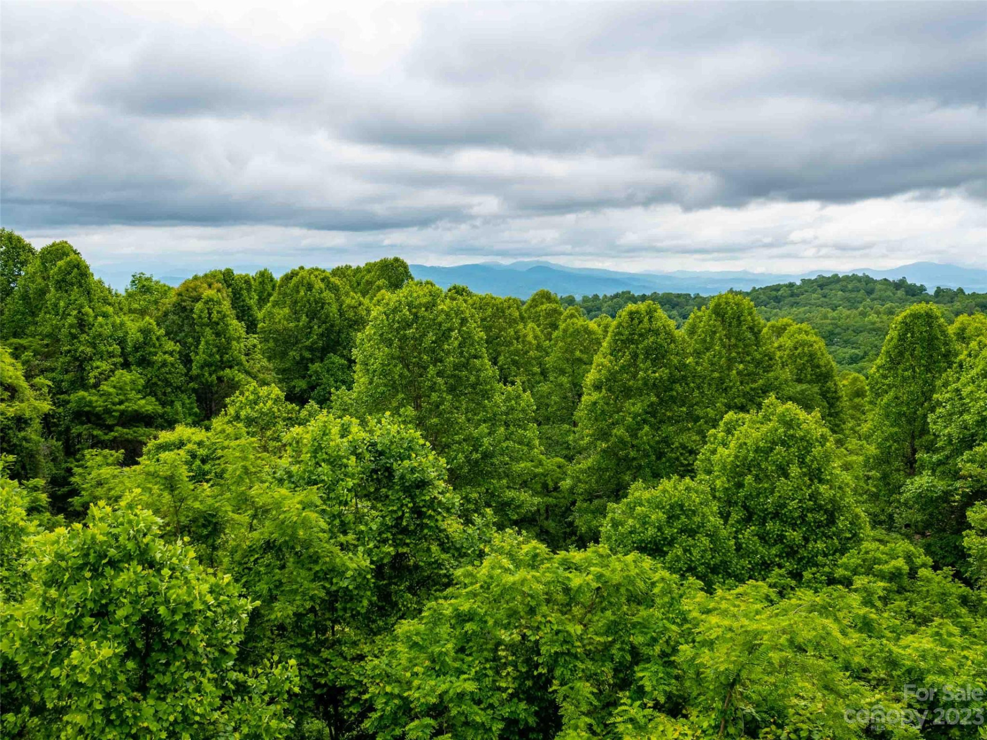 LOT A Deerwood Lane - Photo 12