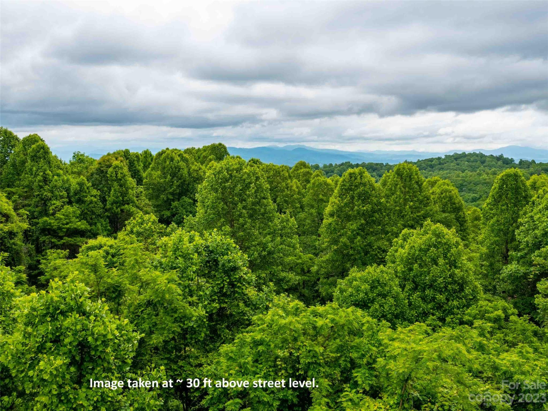 LOT A Deerwood Lane - Photo 13