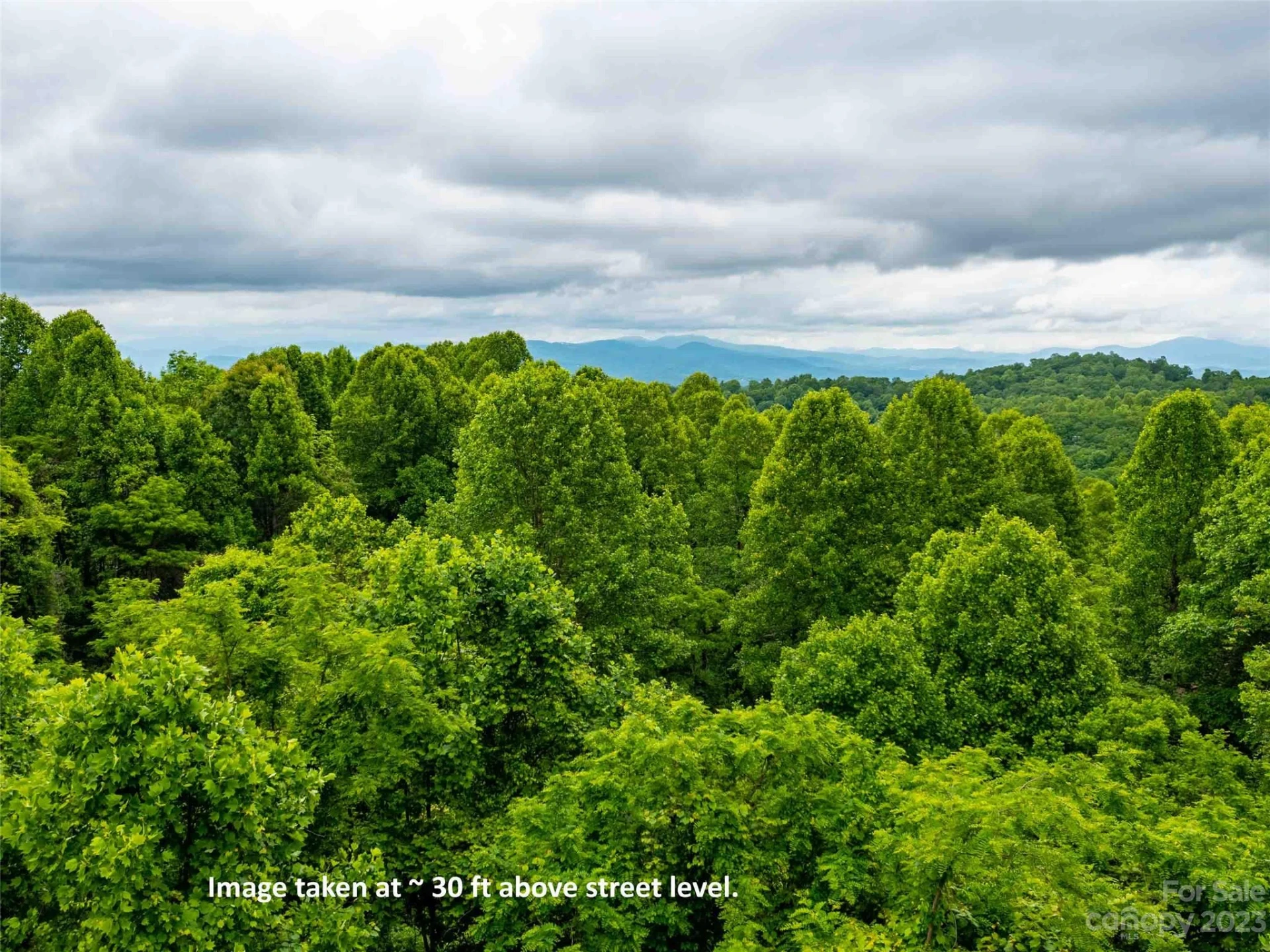 LOT A Deerwood Lane - Photo 13