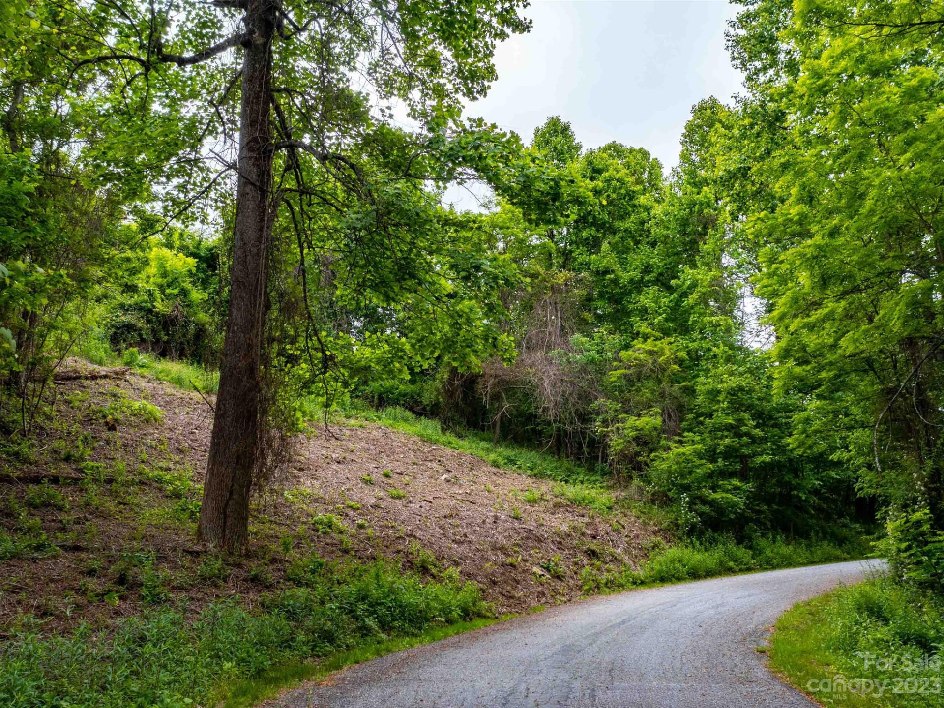 LOT A Deerwood Lane - Photo 19