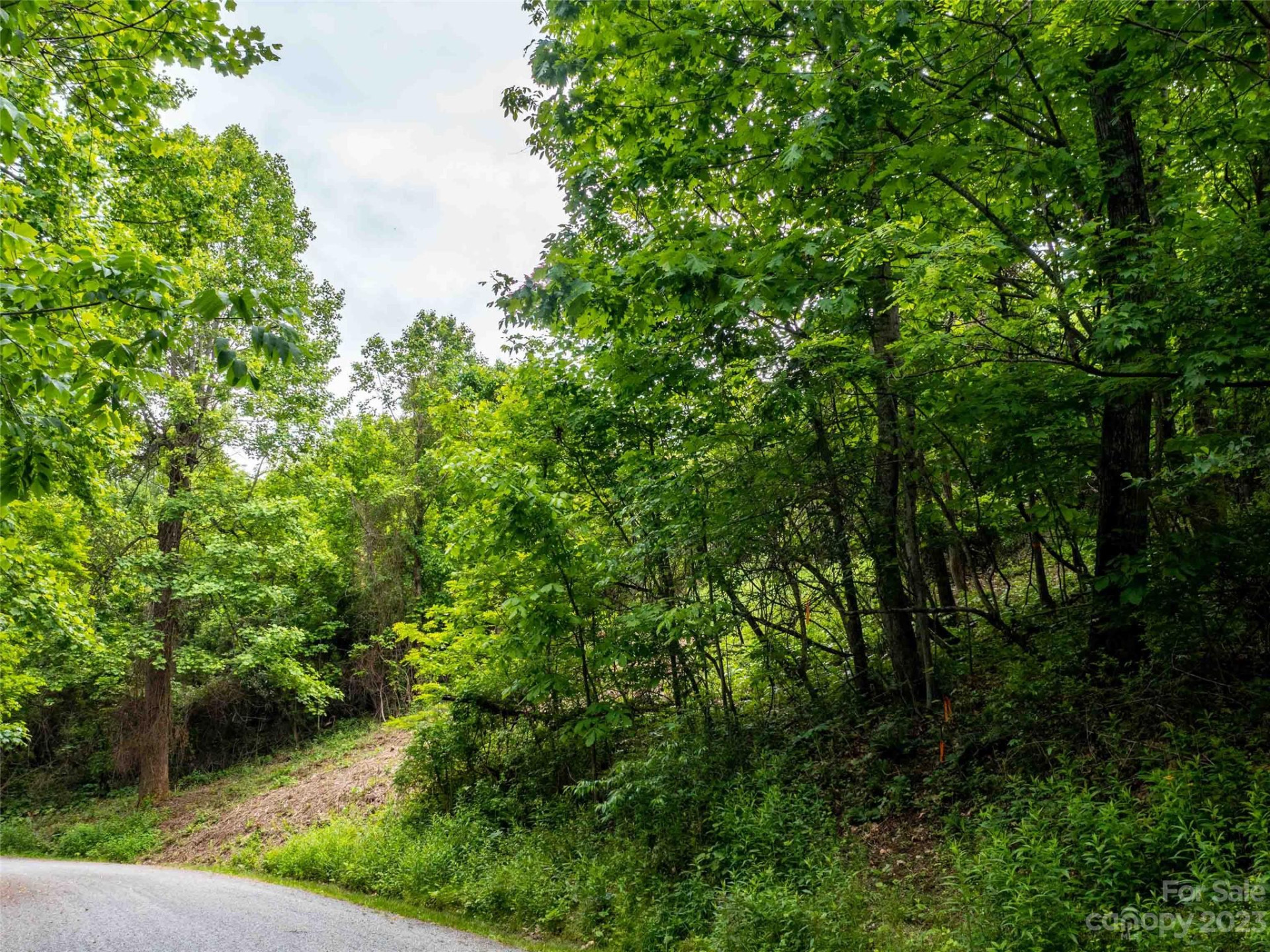 LOT A Deerwood Lane - Photo 20