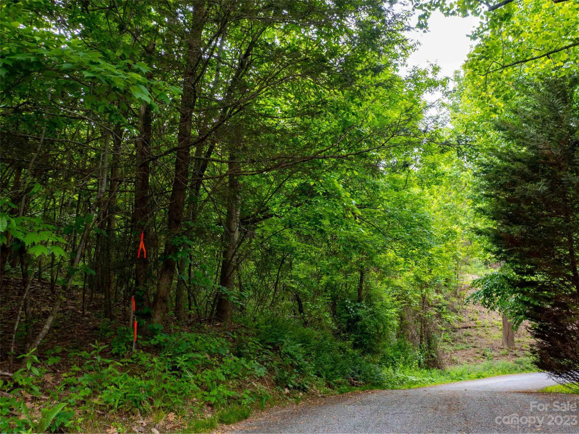 LOT A Deerwood Lane - Photo 7