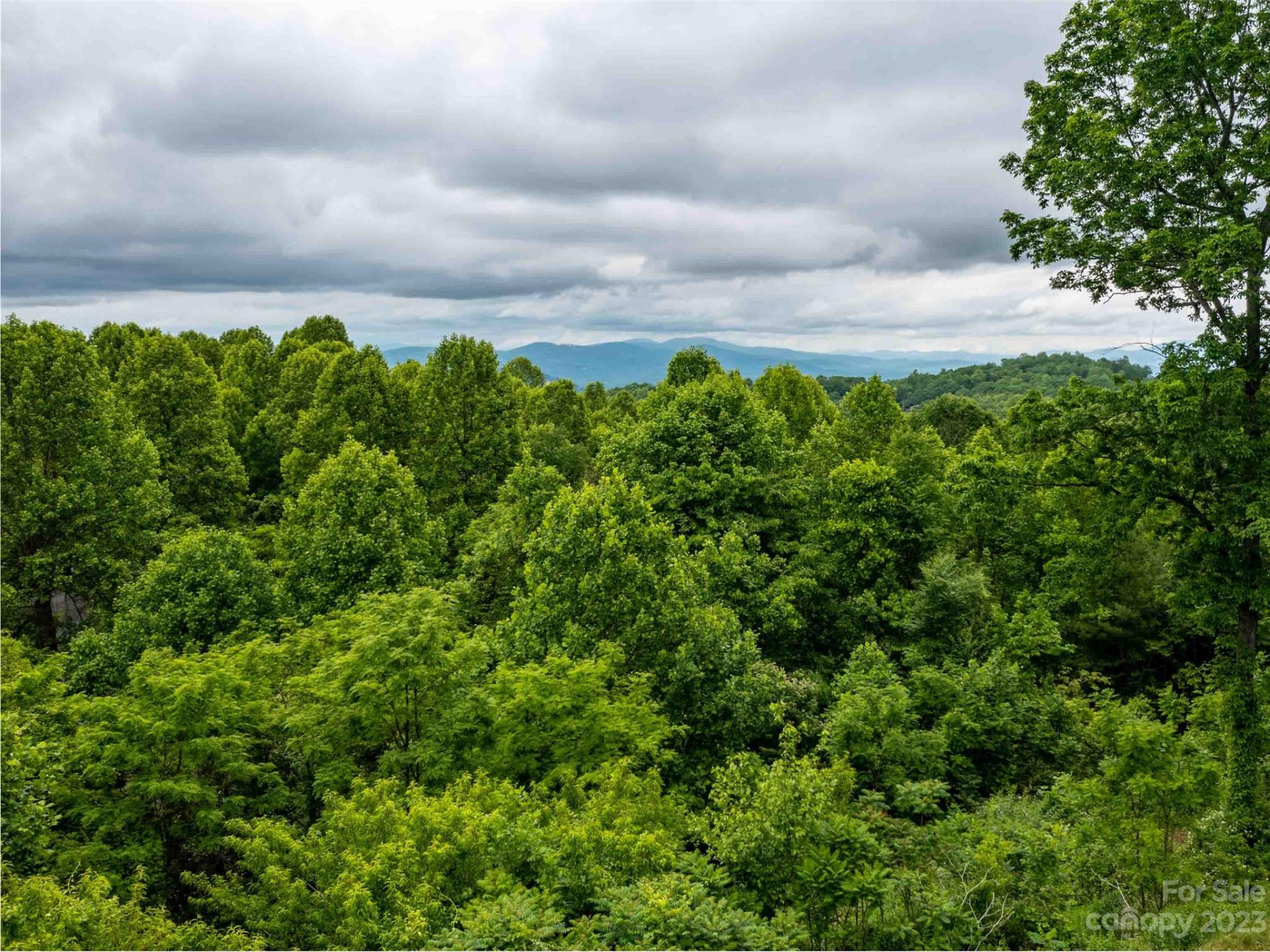 LOT A Deerwood Lane - Photo 8