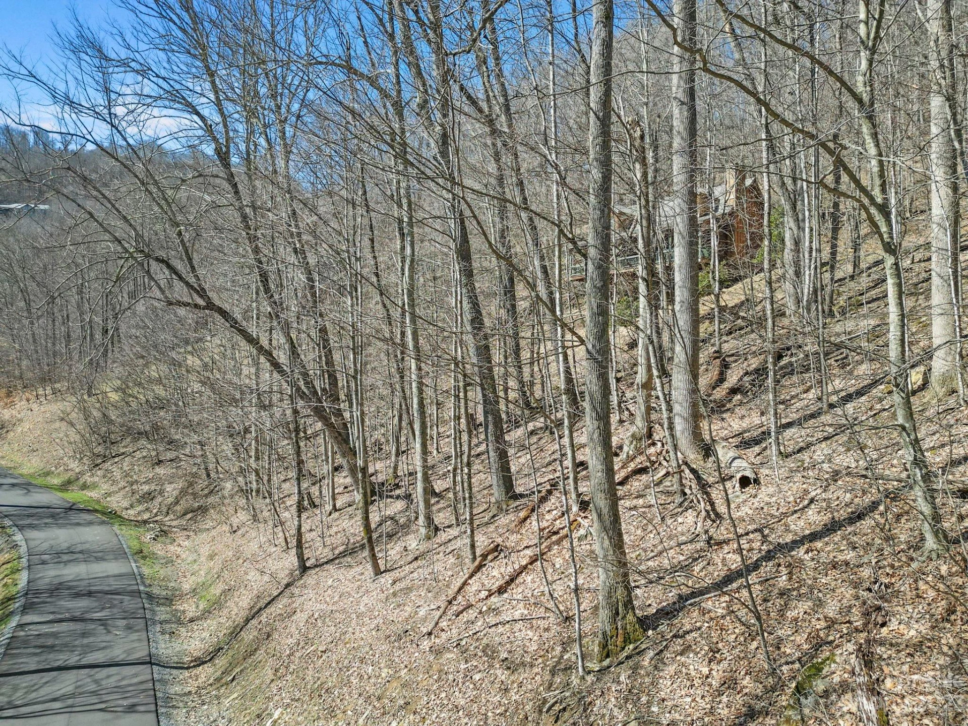3 Chestnut Village Lane #3A - Photo 12