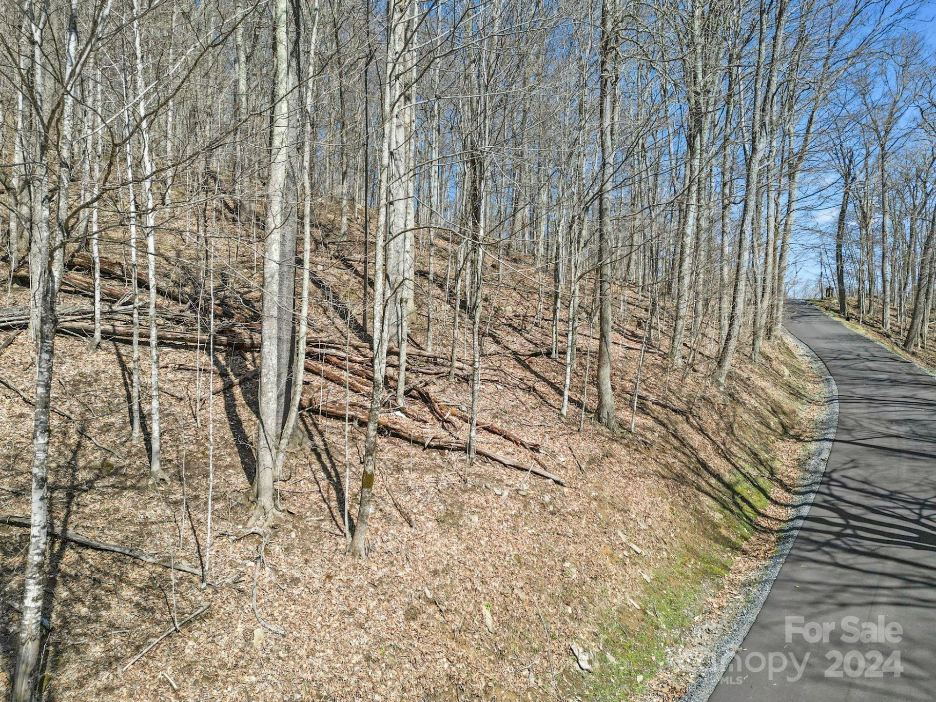 10 Chestnut Village Lane #9 & 10 - Photo 11