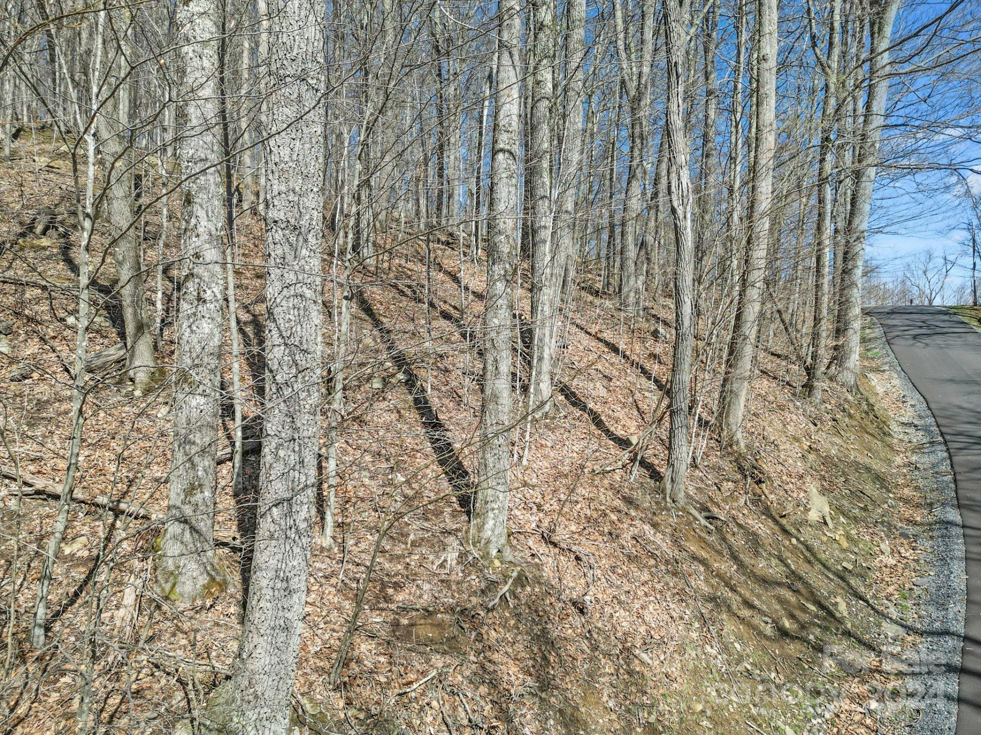 10 Chestnut Village Lane #9 & 10 - Photo 12