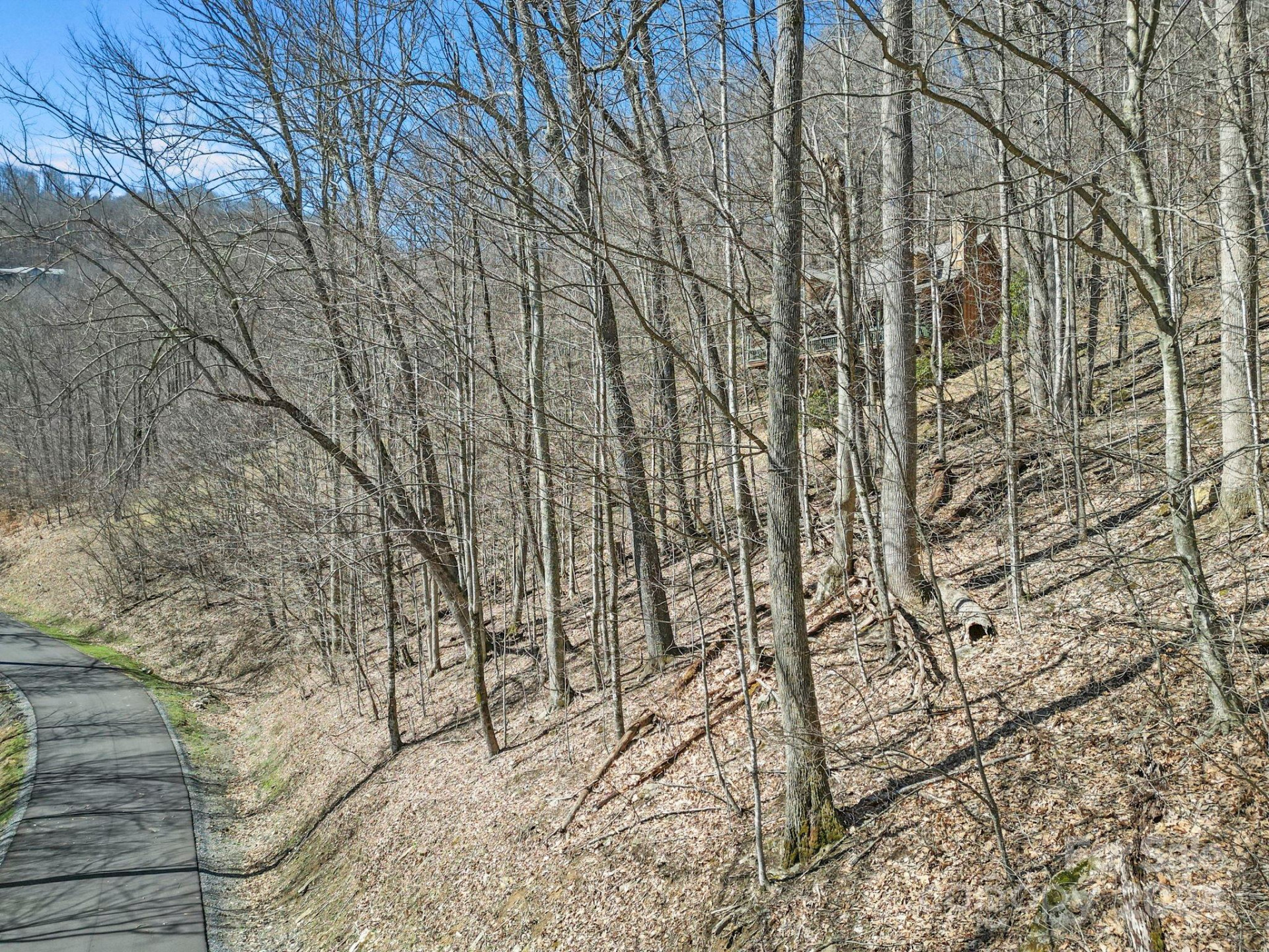 10 Chestnut Village Lane #9 & 10 - Photo 13