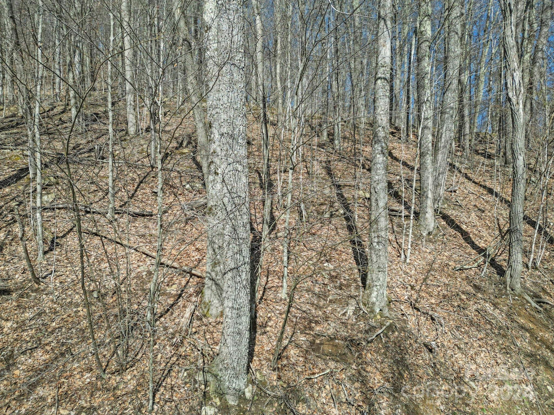 10 Chestnut Village Lane #9 & 10 - Photo 14