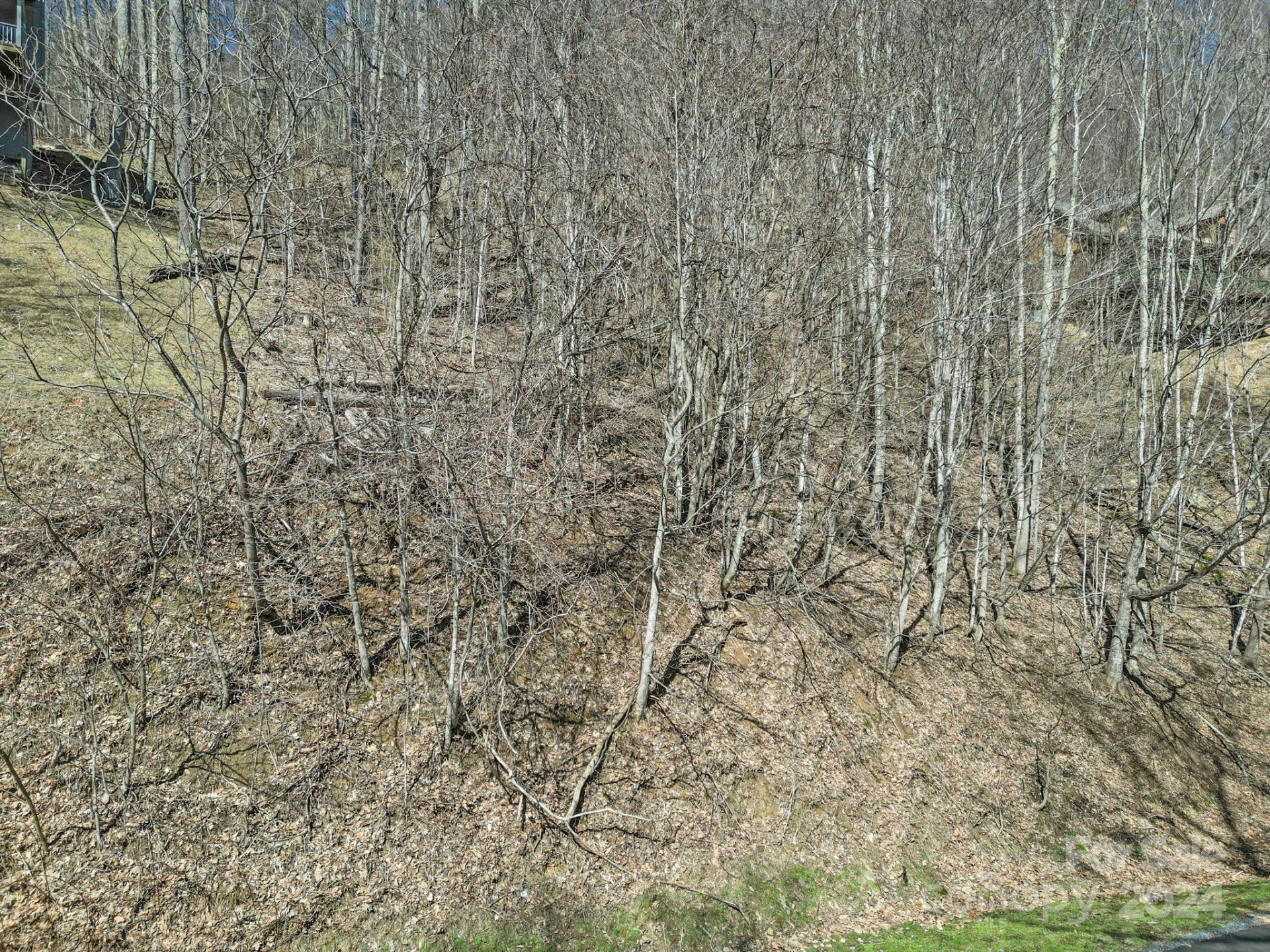 10 Chestnut Village Lane #9 & 10 - Photo 15