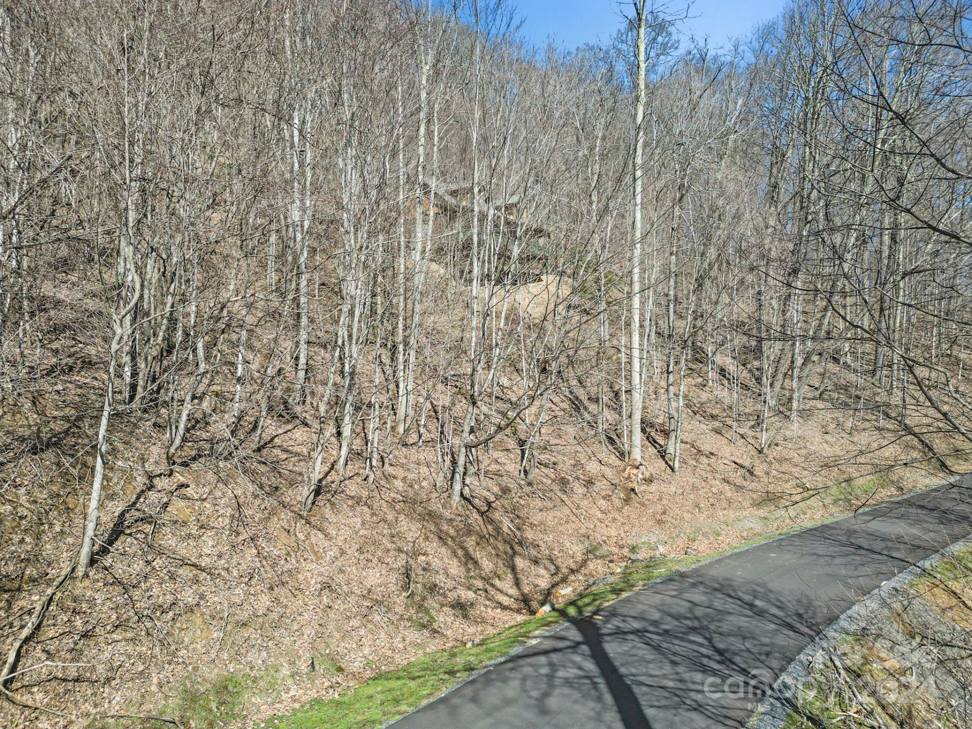 10 Chestnut Village Lane #9 & 10 - Photo 16