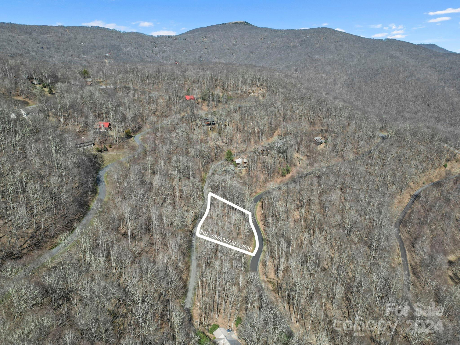 10 Chestnut Village Lane #9 & 10 - Photo 3