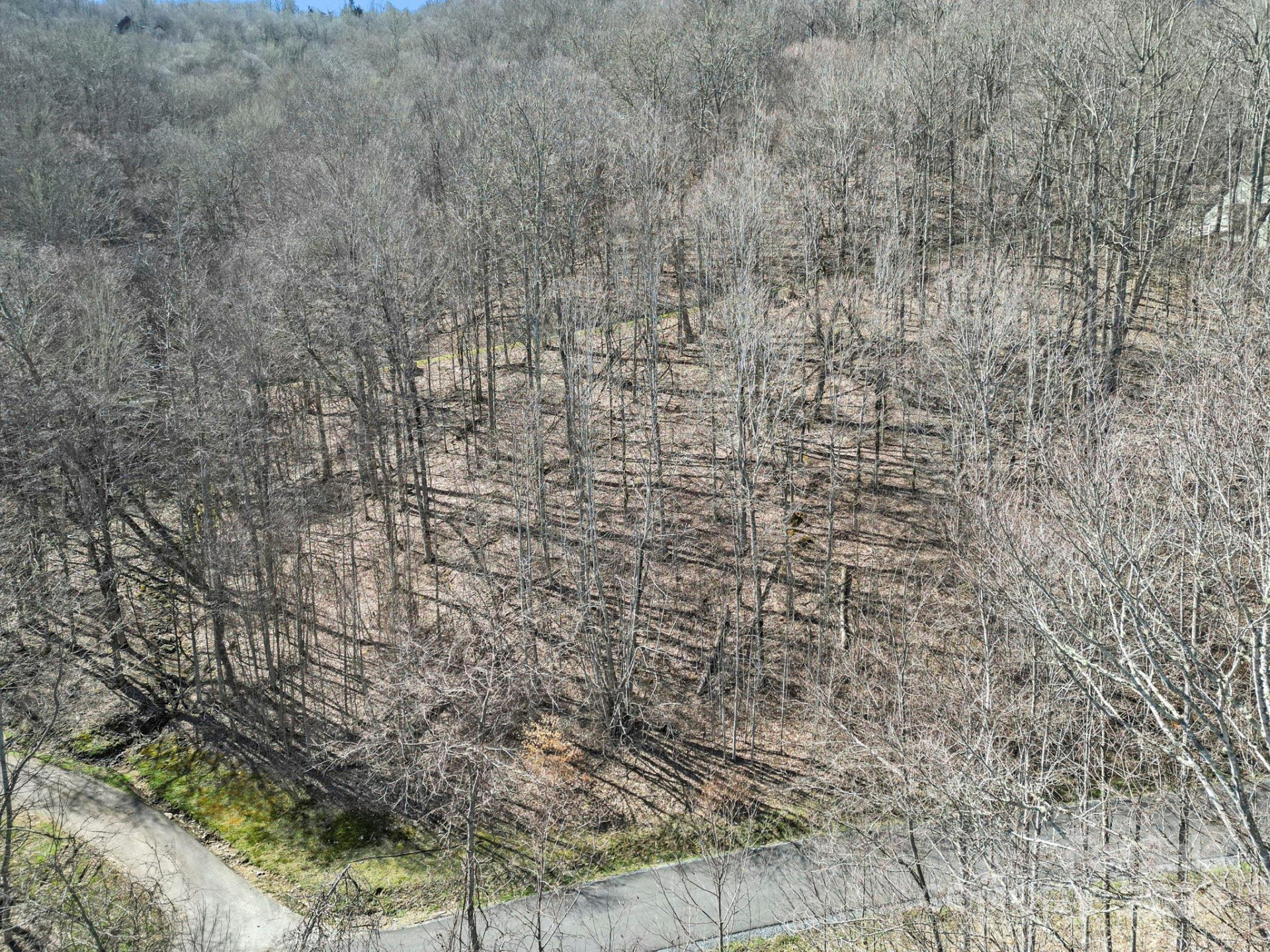 10 Chestnut Village Lane #9 & 10 - Photo 7