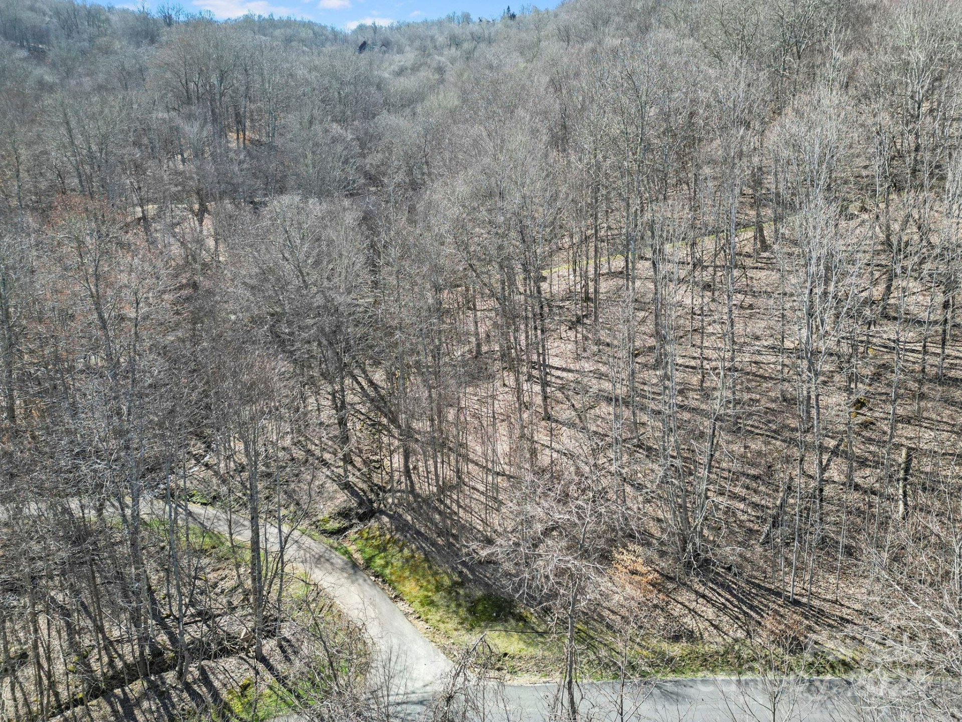 10 Chestnut Village Lane #9 & 10 - Photo 8