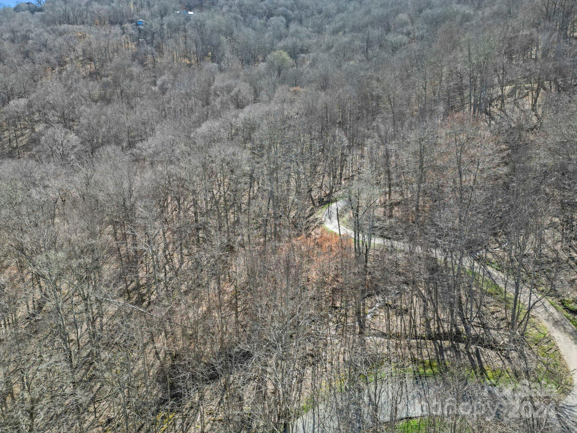 10 Chestnut Village Lane #9 & 10 - Photo 9