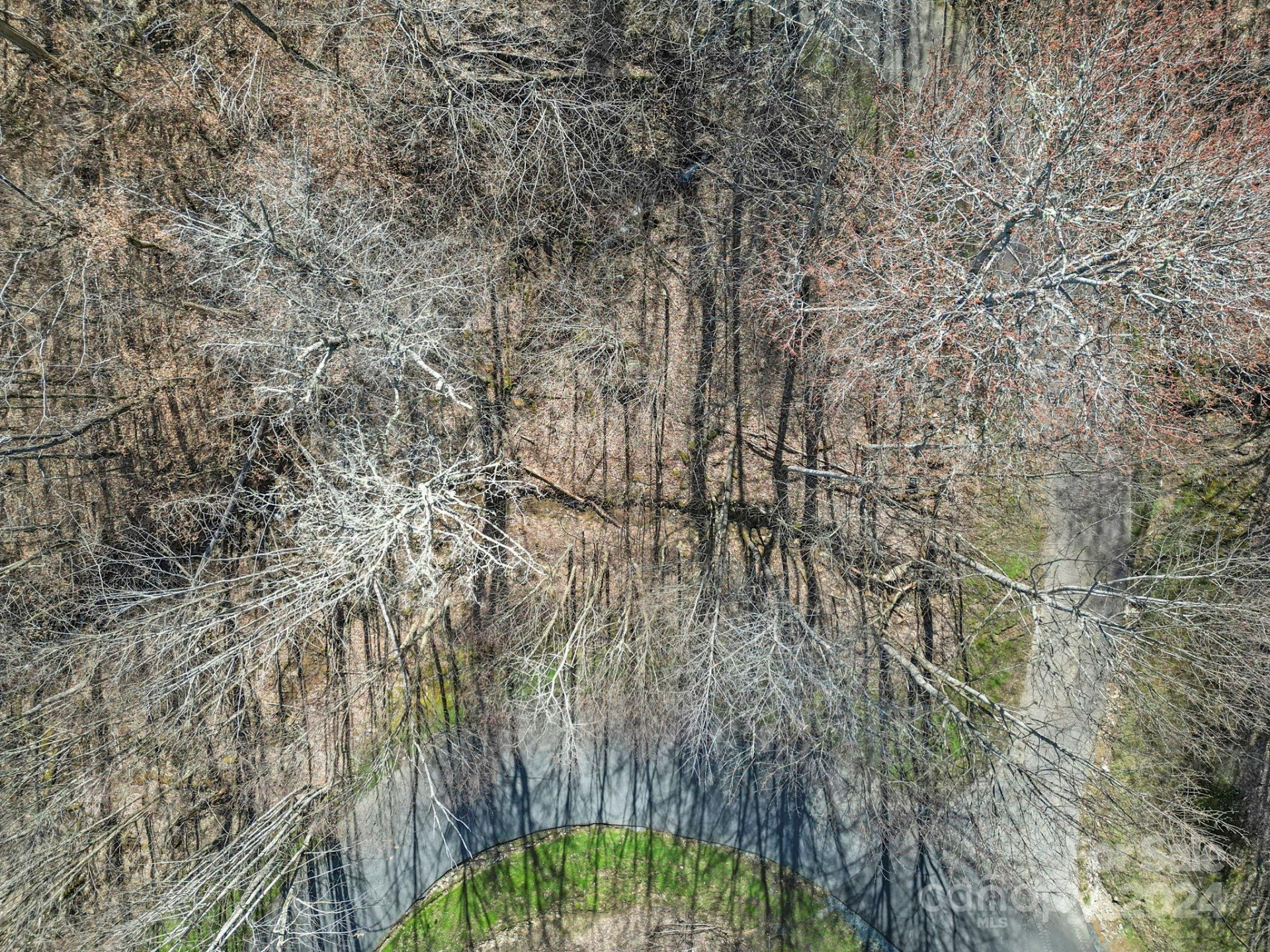 10 Chestnut Village Lane #9 & 10 - Photo 10