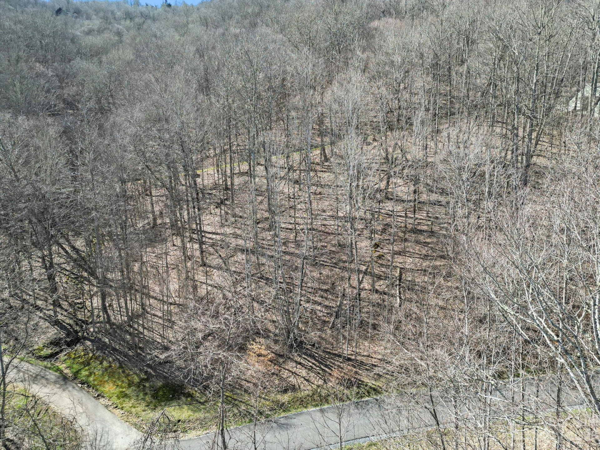 16 Chestnut Village Lane #16 - Photo 2