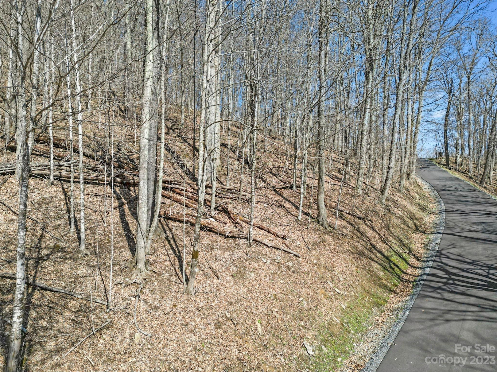 16 Chestnut Village Lane #16 - Photo 5