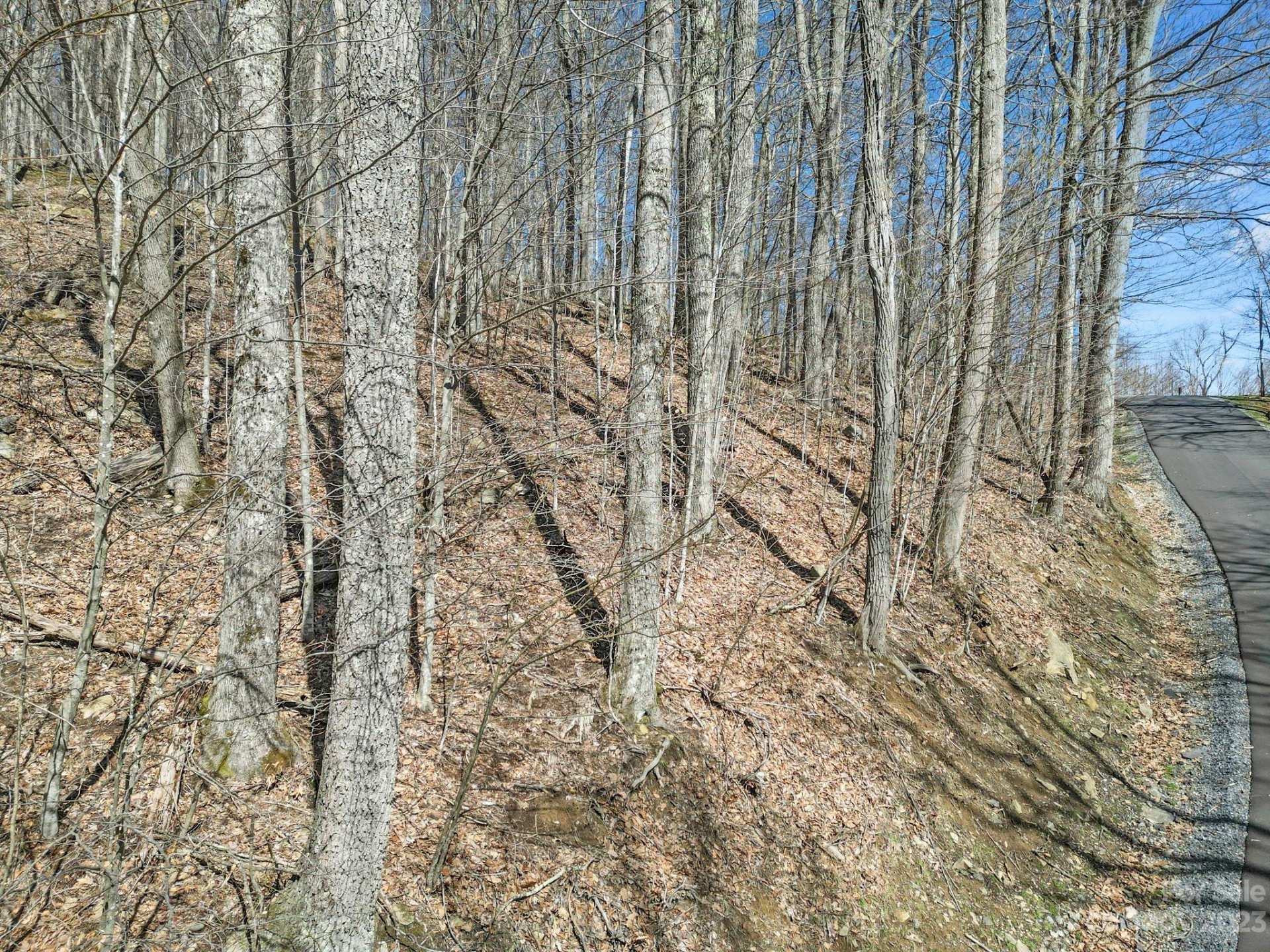 16 Chestnut Village Lane #16 - Photo 6