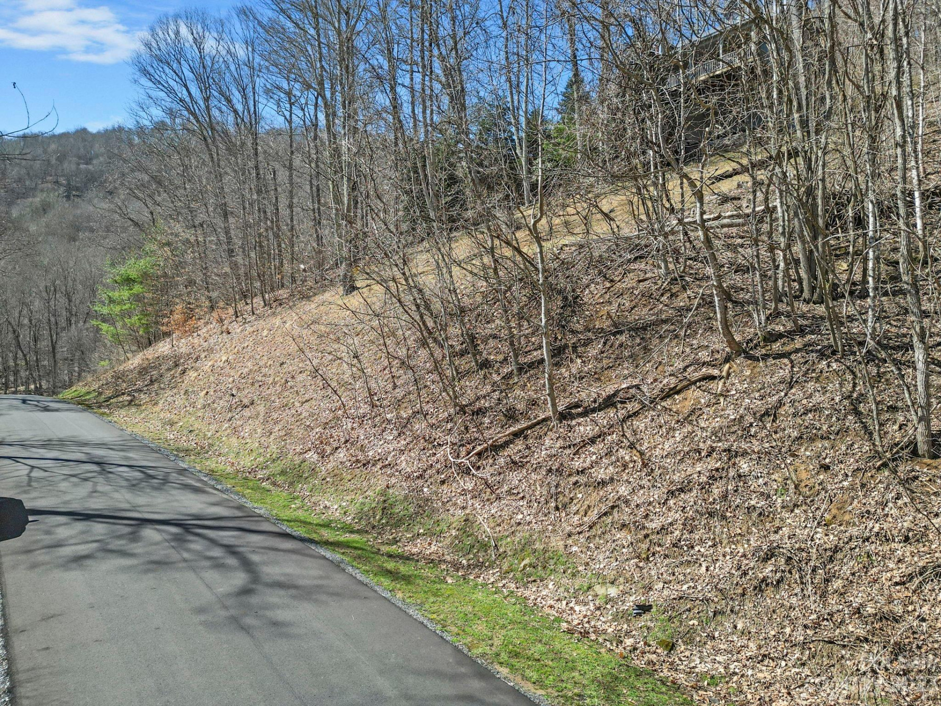 16 Chestnut Village Lane #16 - Photo 9