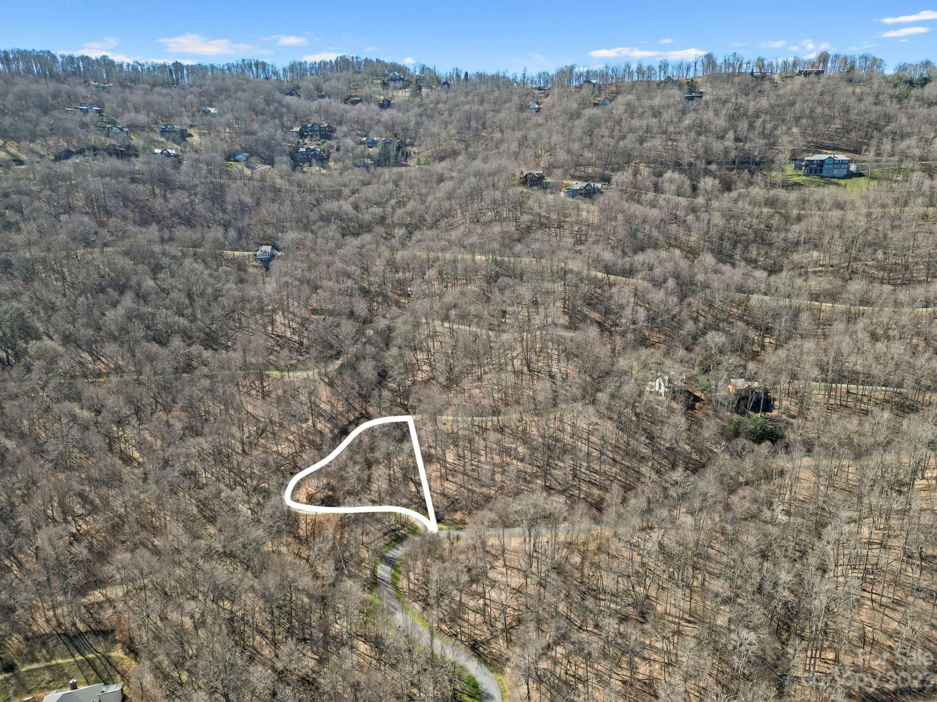 17 Chestnut Village Lane ##17 - Photo 2