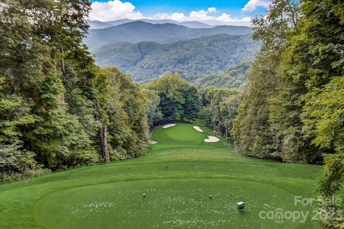 17 Chestnut Village Lane ##17 - Photo 20