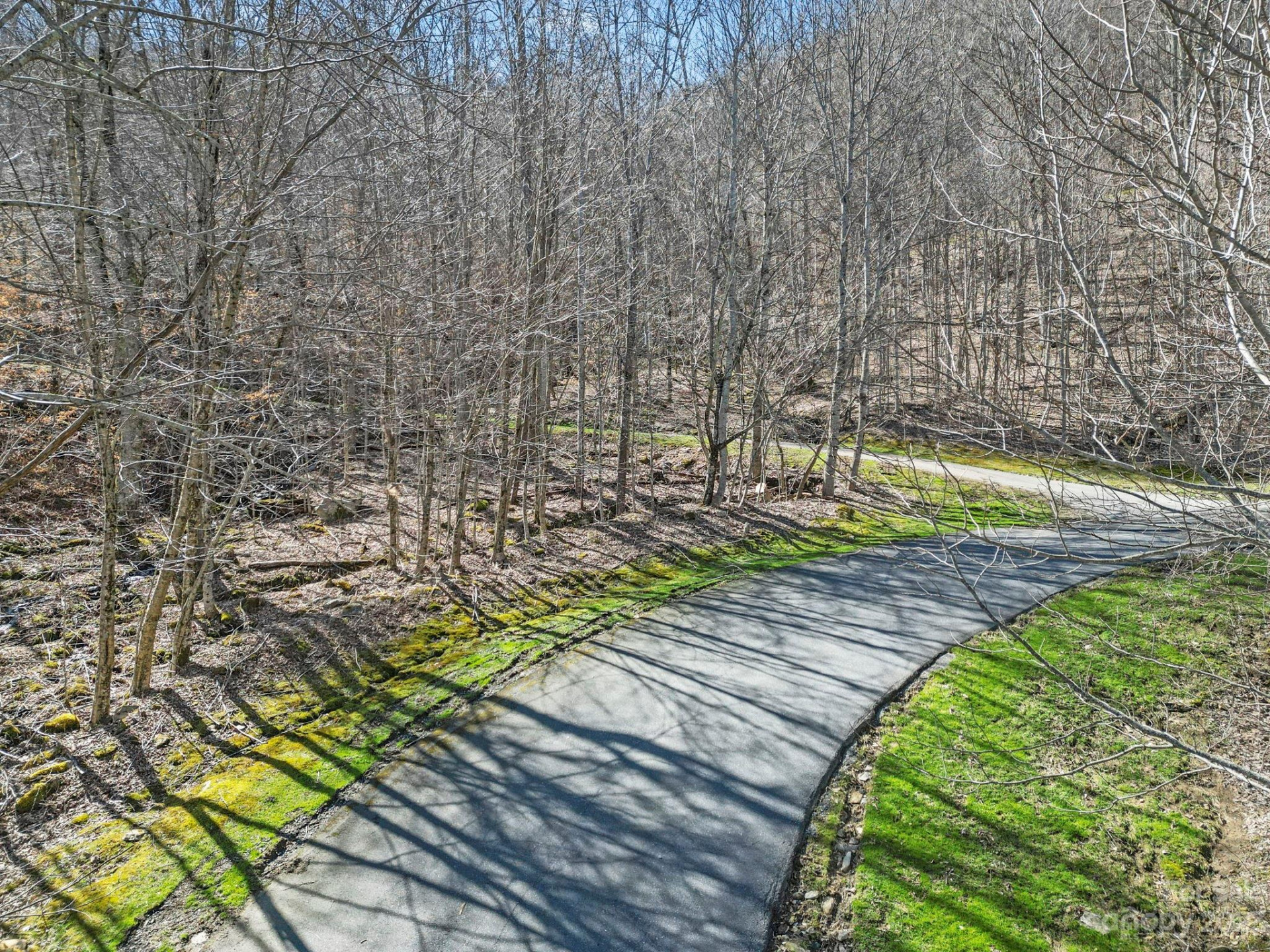 17 Chestnut Village Lane ##17 - Photo 4