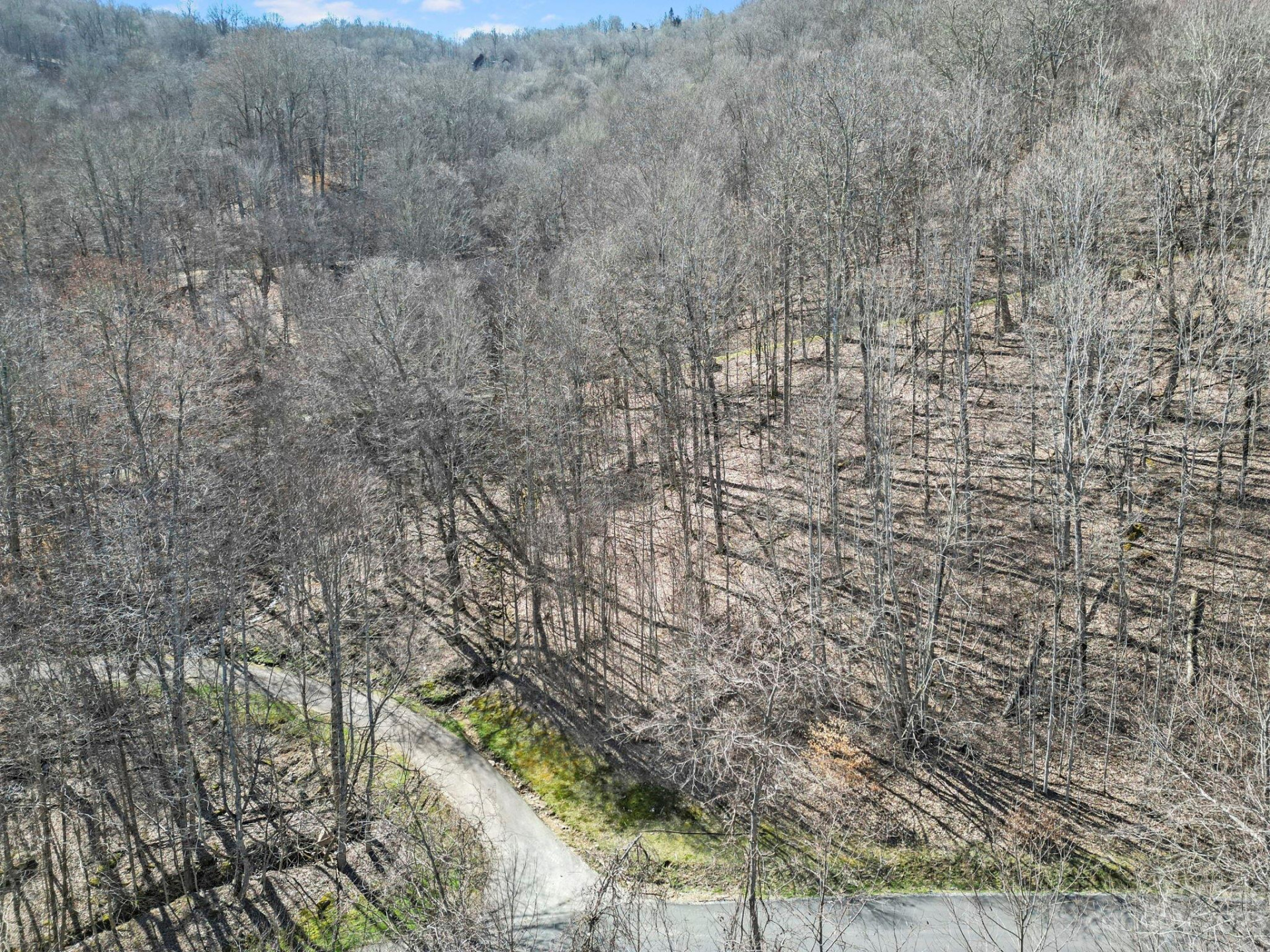 17 Chestnut Village Lane ##17 - Photo 6