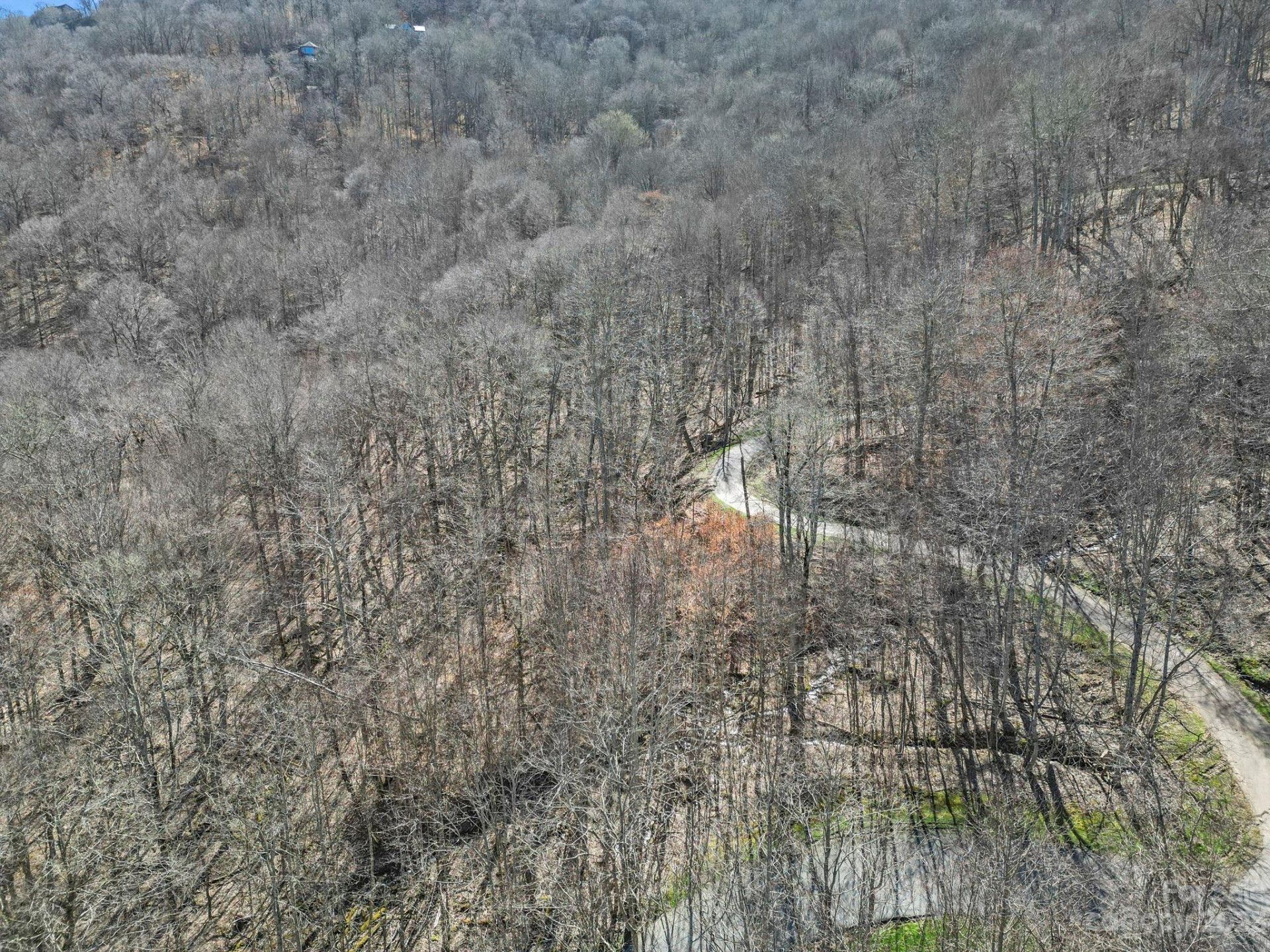 17 Chestnut Village Lane ##17 - Photo 7