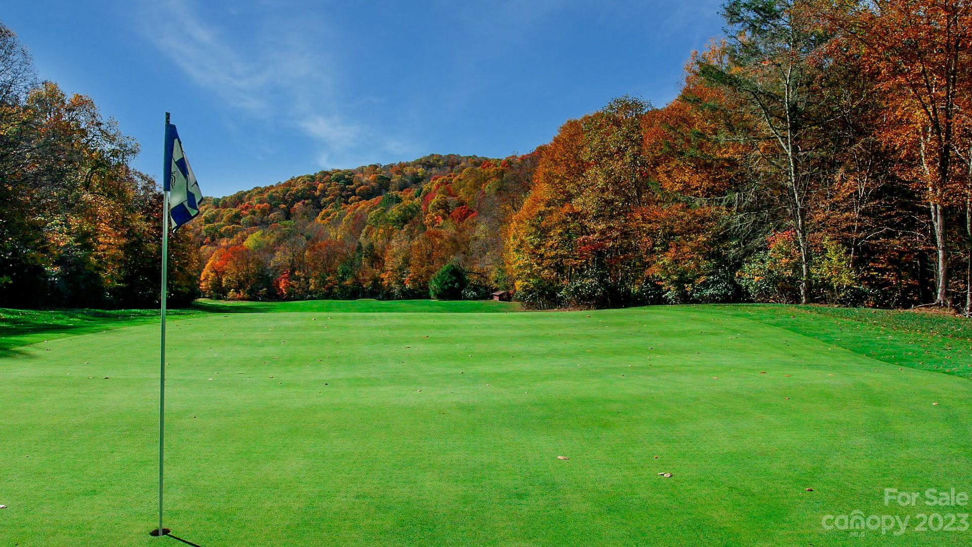 18 Chestnut Village Lane ##18 - Photo 17