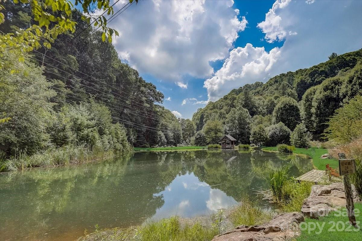 18 Chestnut Village Lane ##18 - Photo 31