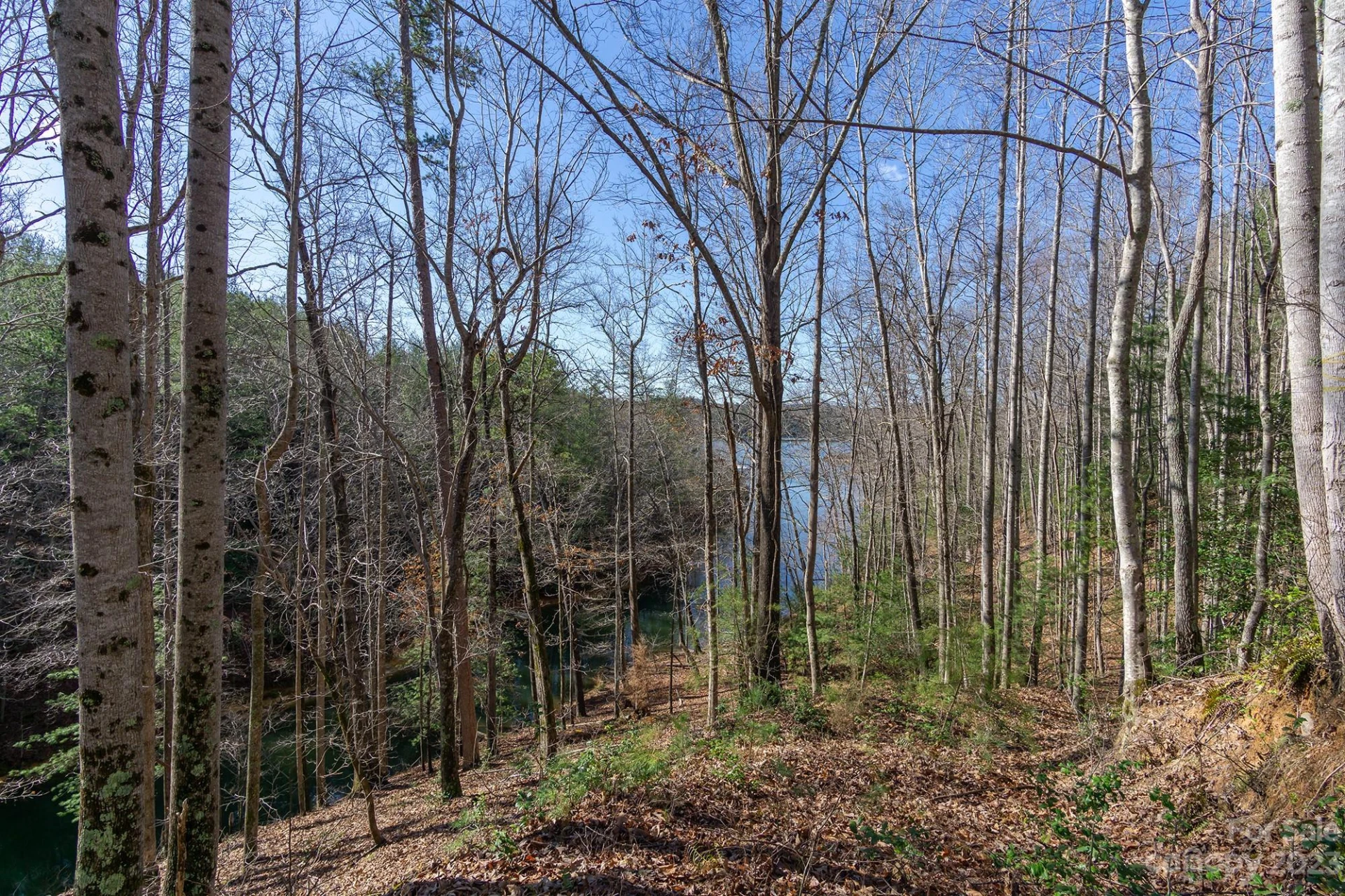 V/L Sunset Point Parkway #31 - Photo 11