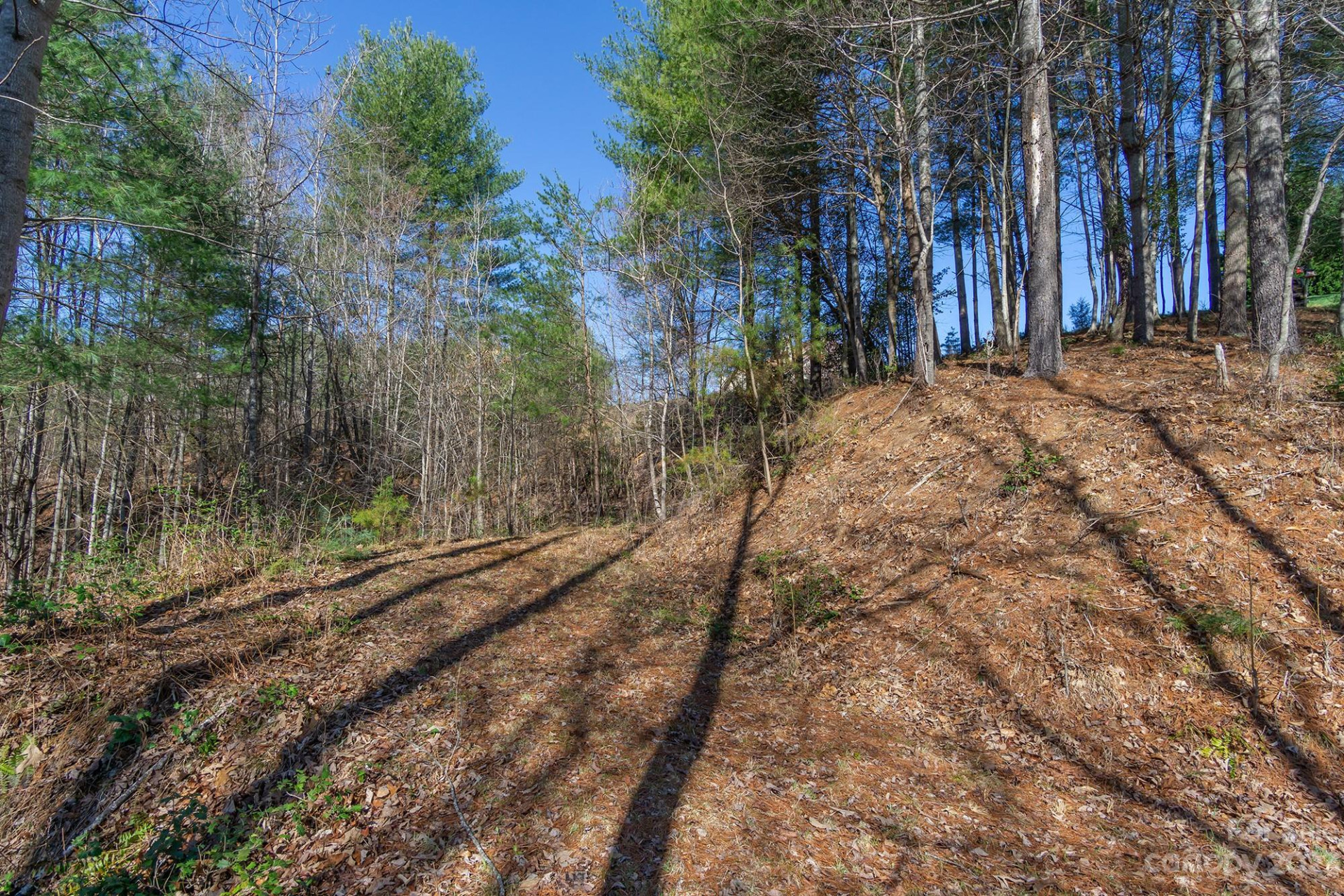 V/L Sunset Point Parkway #31 - Photo 12