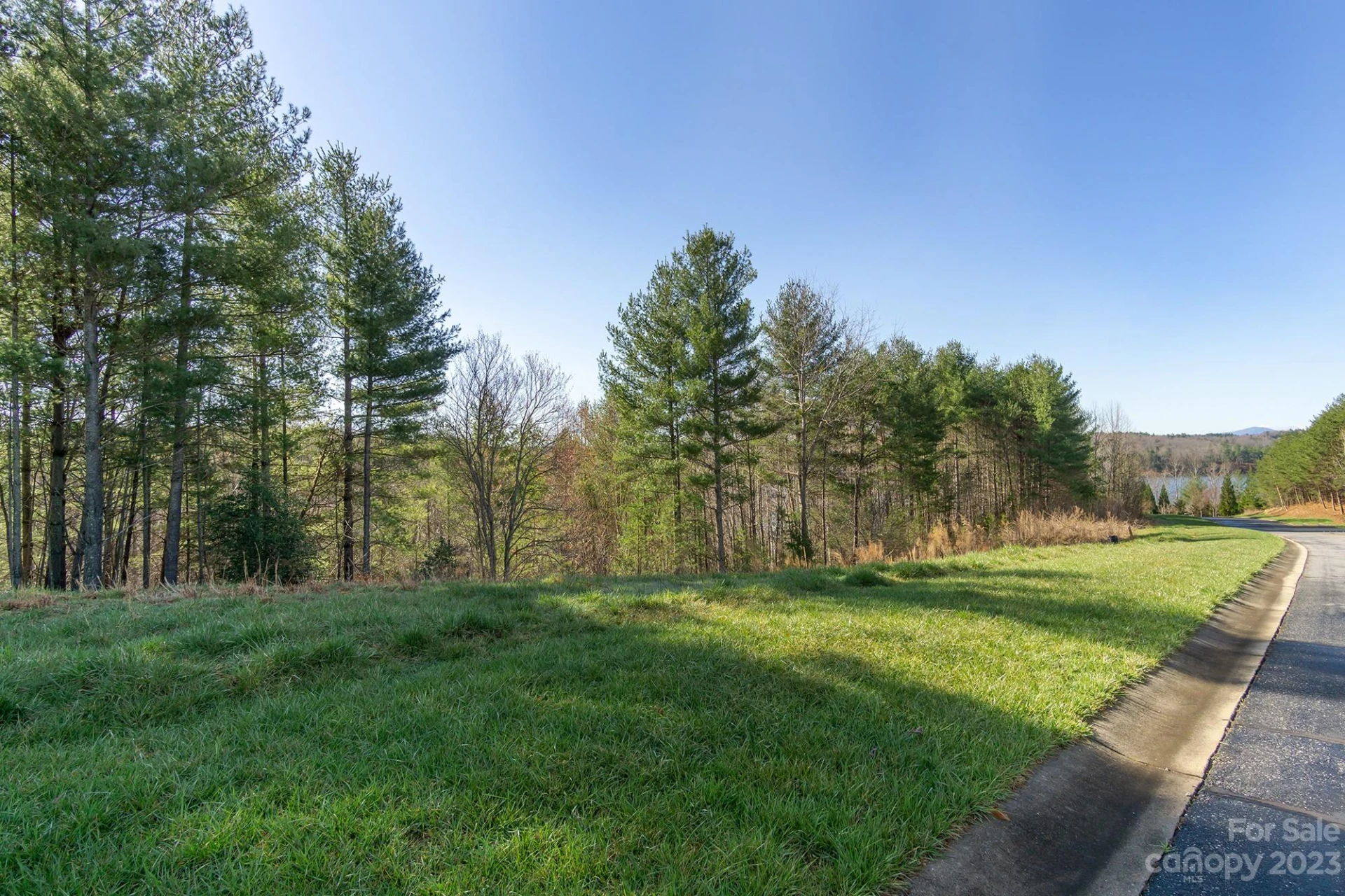 V/L Sunset Point Parkway #31 - Photo 5