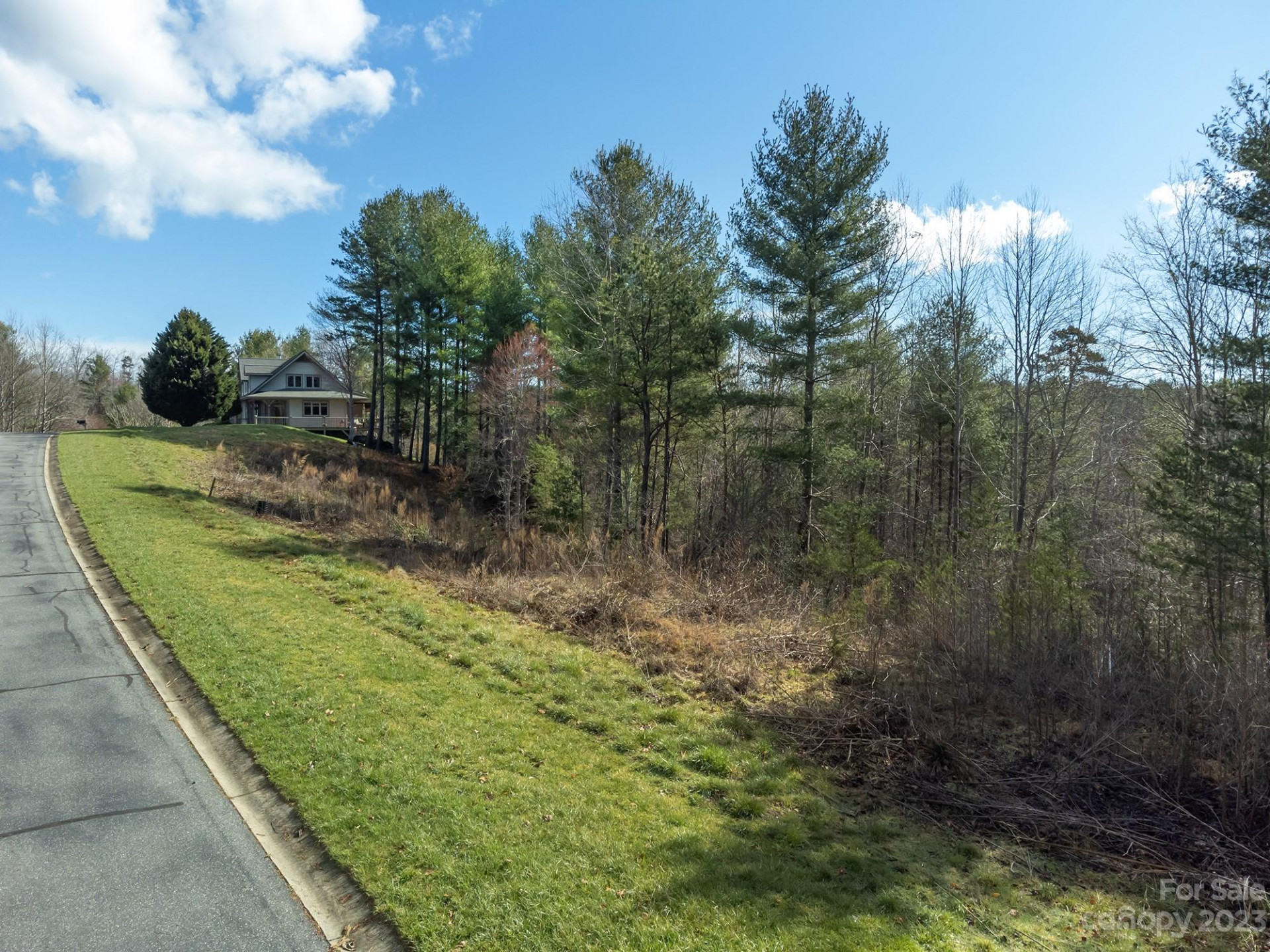 V/L Sunset Point Parkway #31 - Photo 6