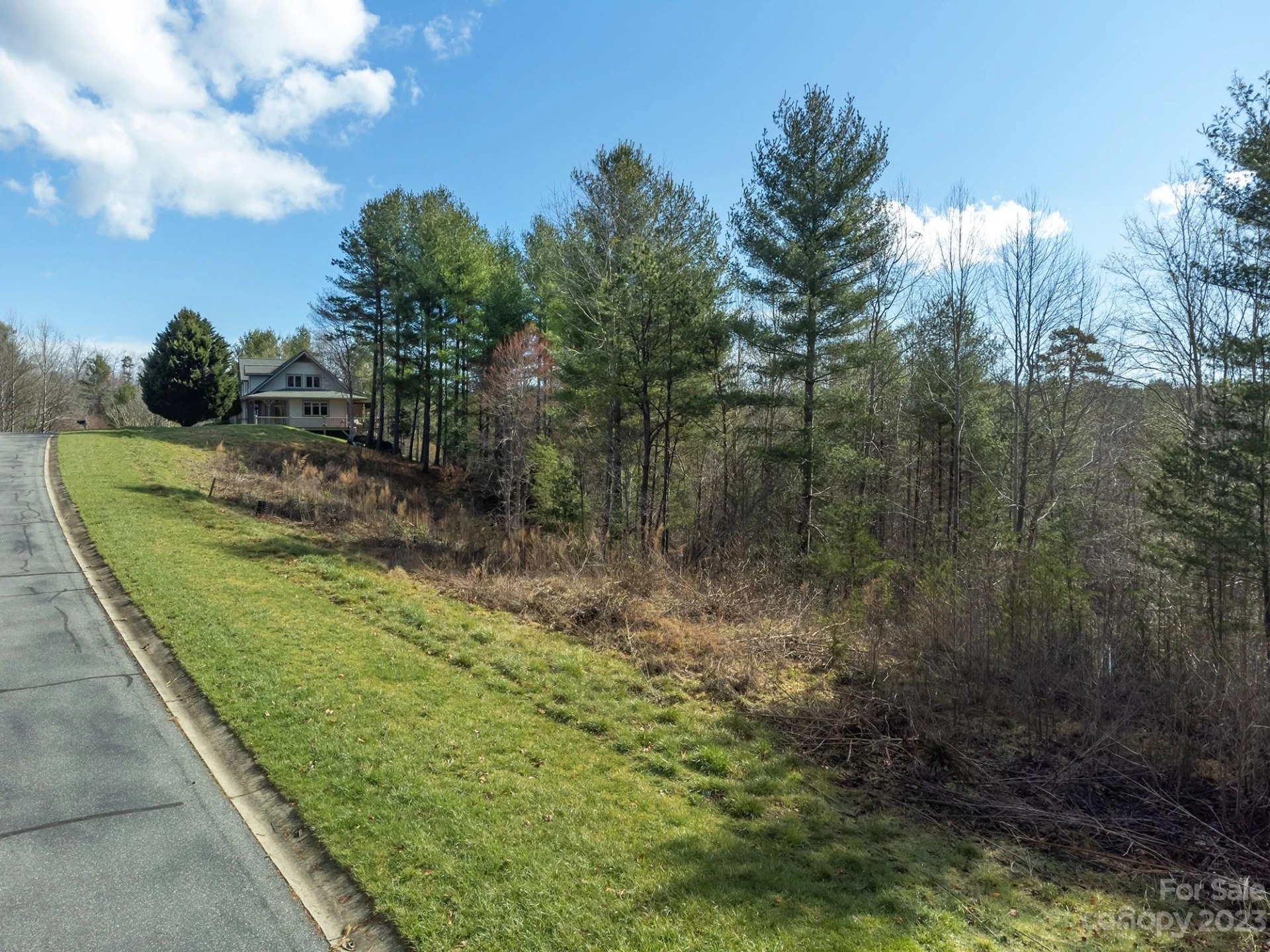 V/L Sunset Point Parkway #31 - Photo 6