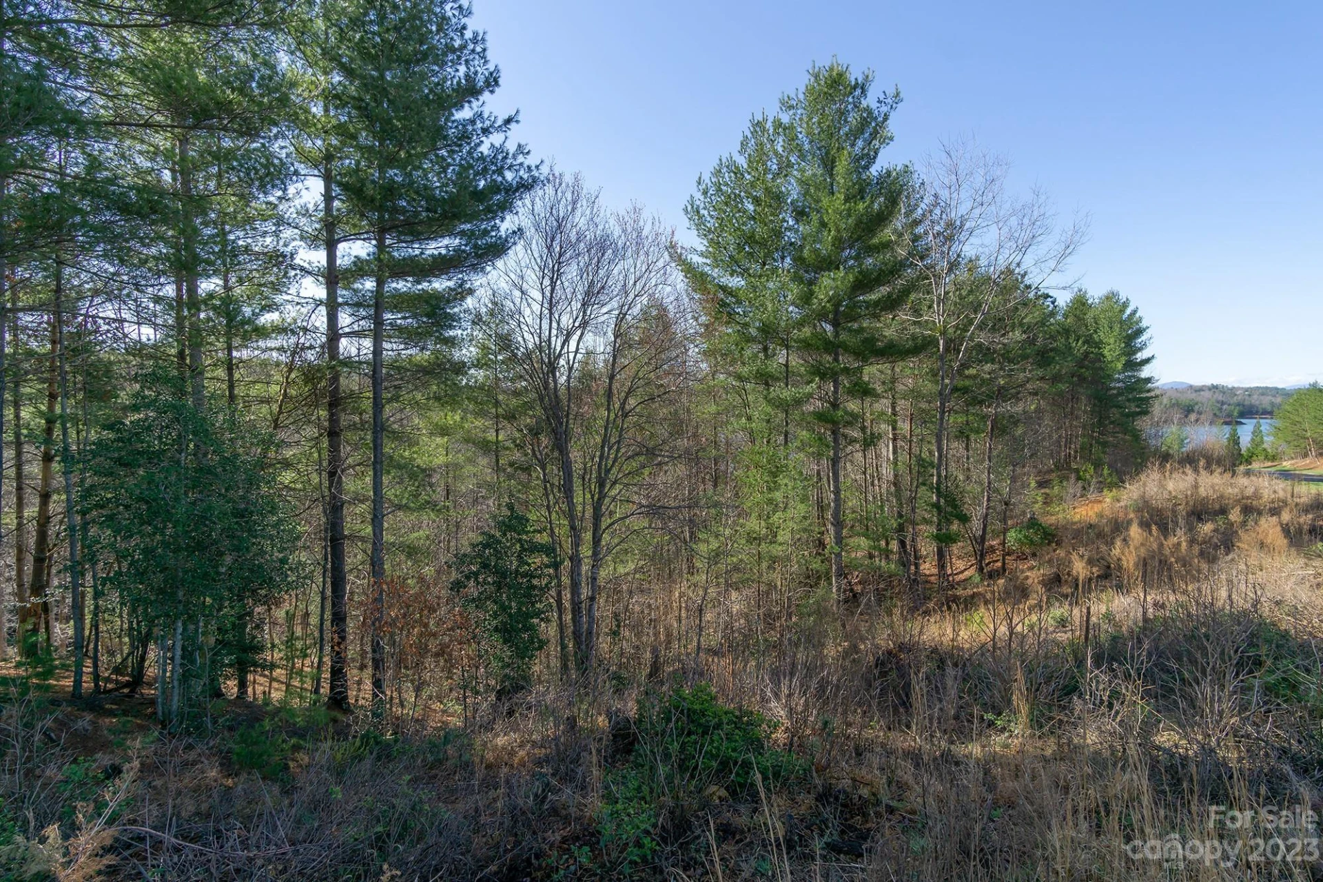 V/L Sunset Point Parkway #31 - Photo 8