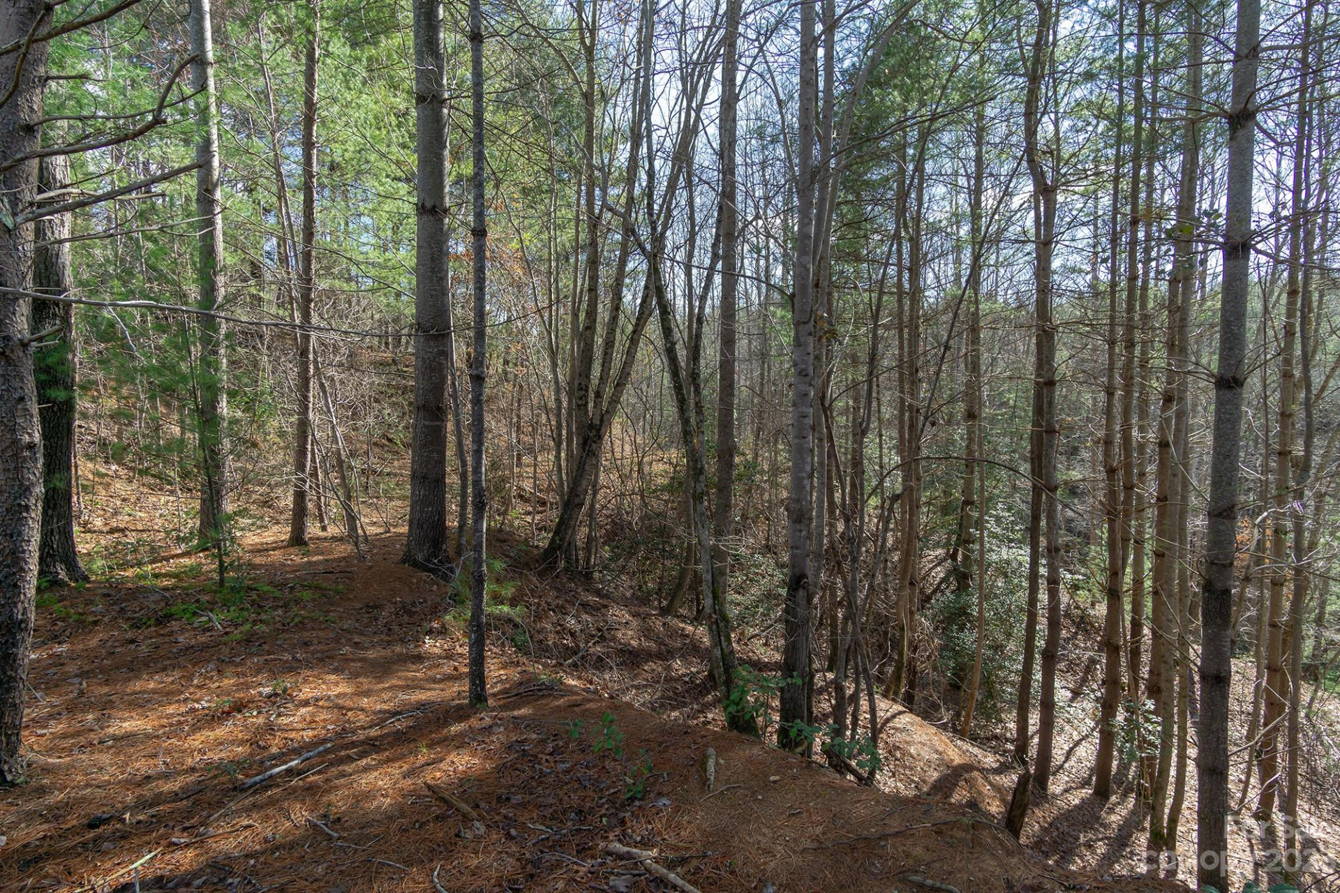 V/L Sunset Point Parkway #31 - Photo 9