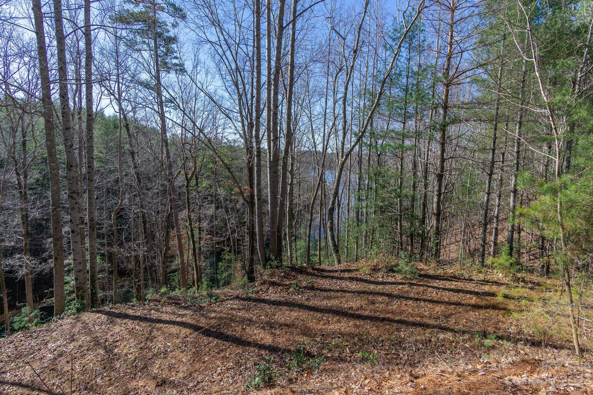 V/L Sunset Point Parkway #31 - Photo 10