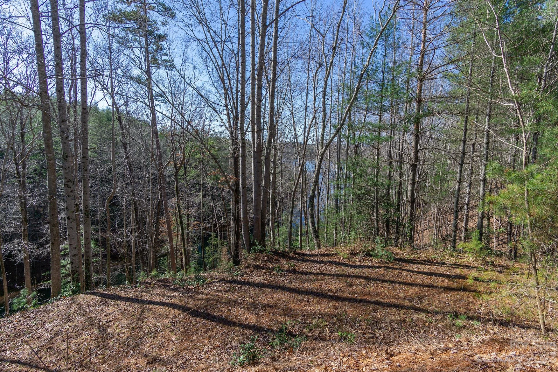 V/L Sunset Point Parkway #31 - Photo 10