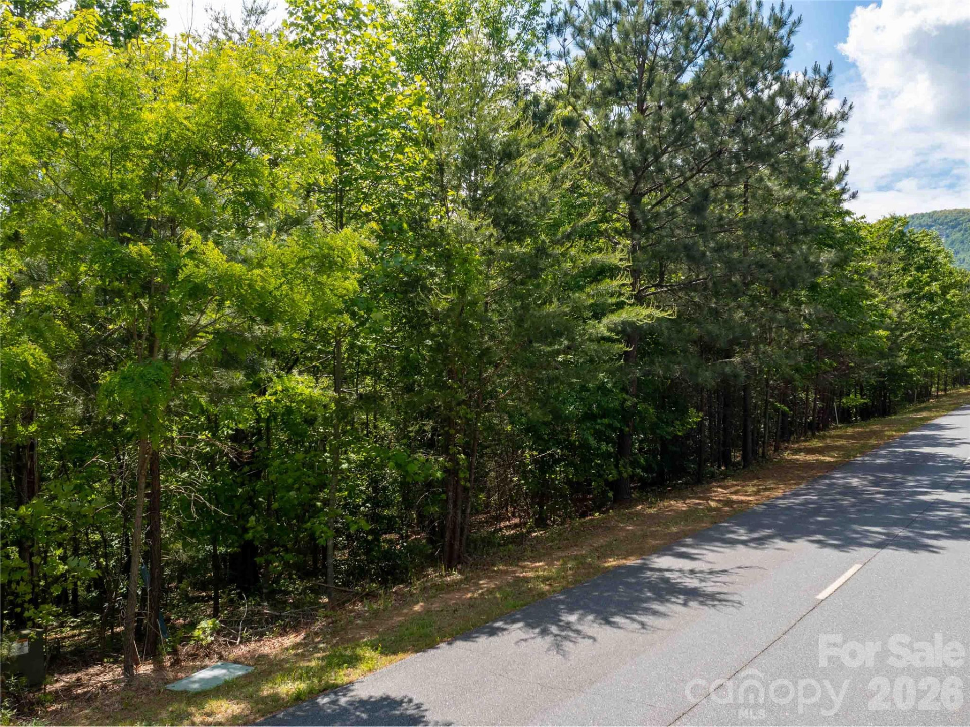 LOT 2009 Deep Gap Farm Road - Photo 2