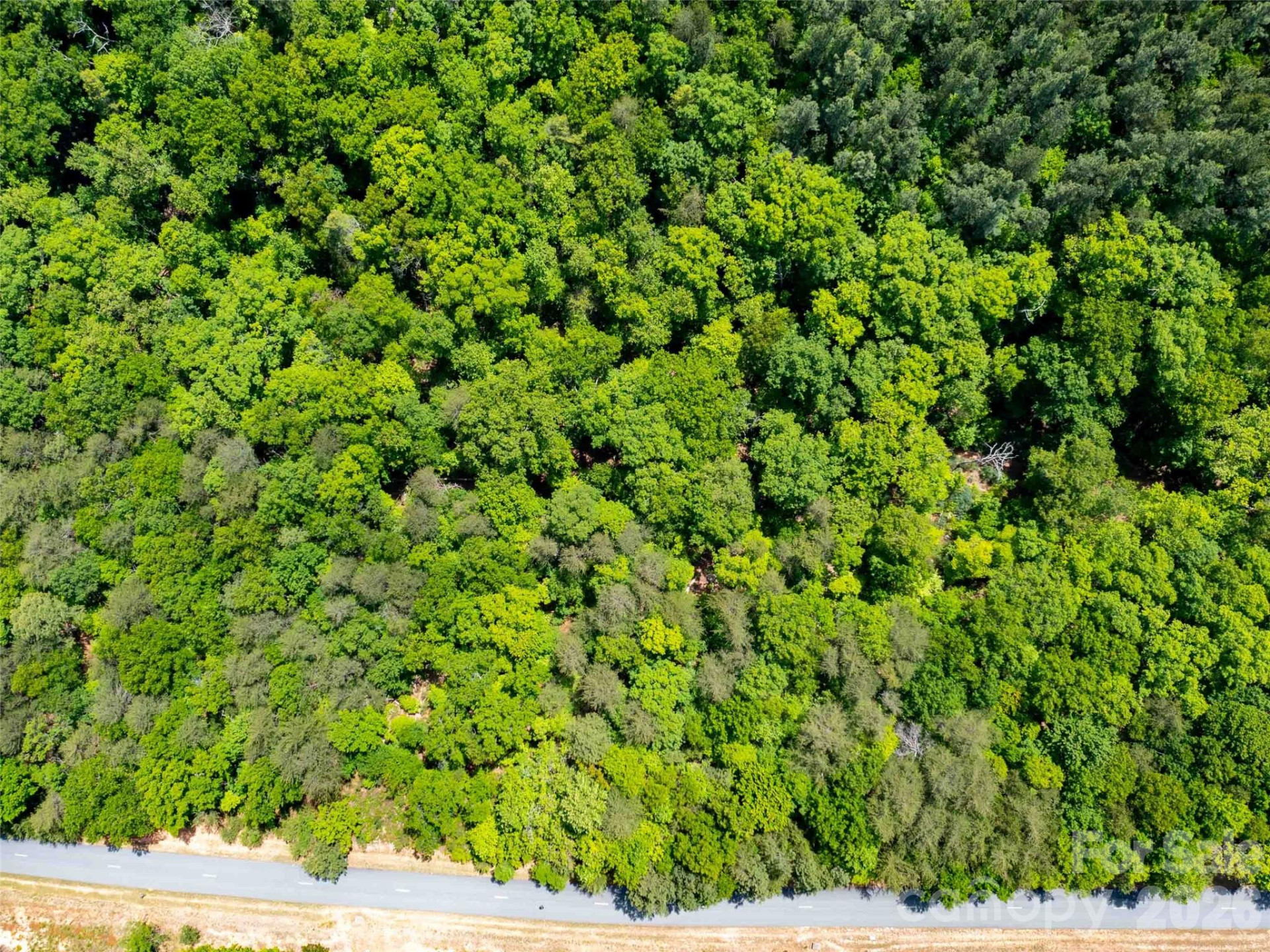 LOT 2009 Deep Gap Farm Road - Photo 4