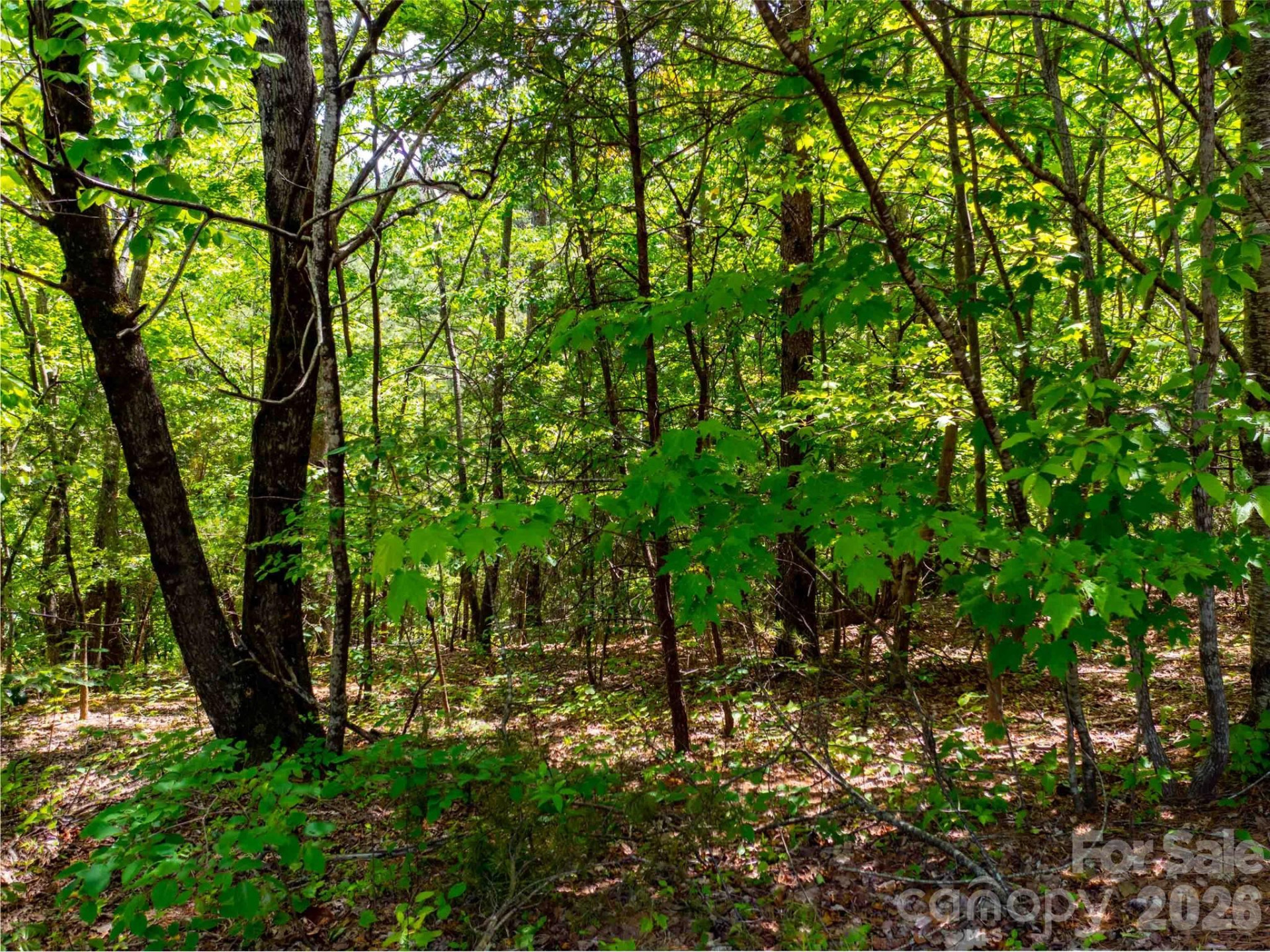 LOT 2009 Deep Gap Farm Road - Photo 5